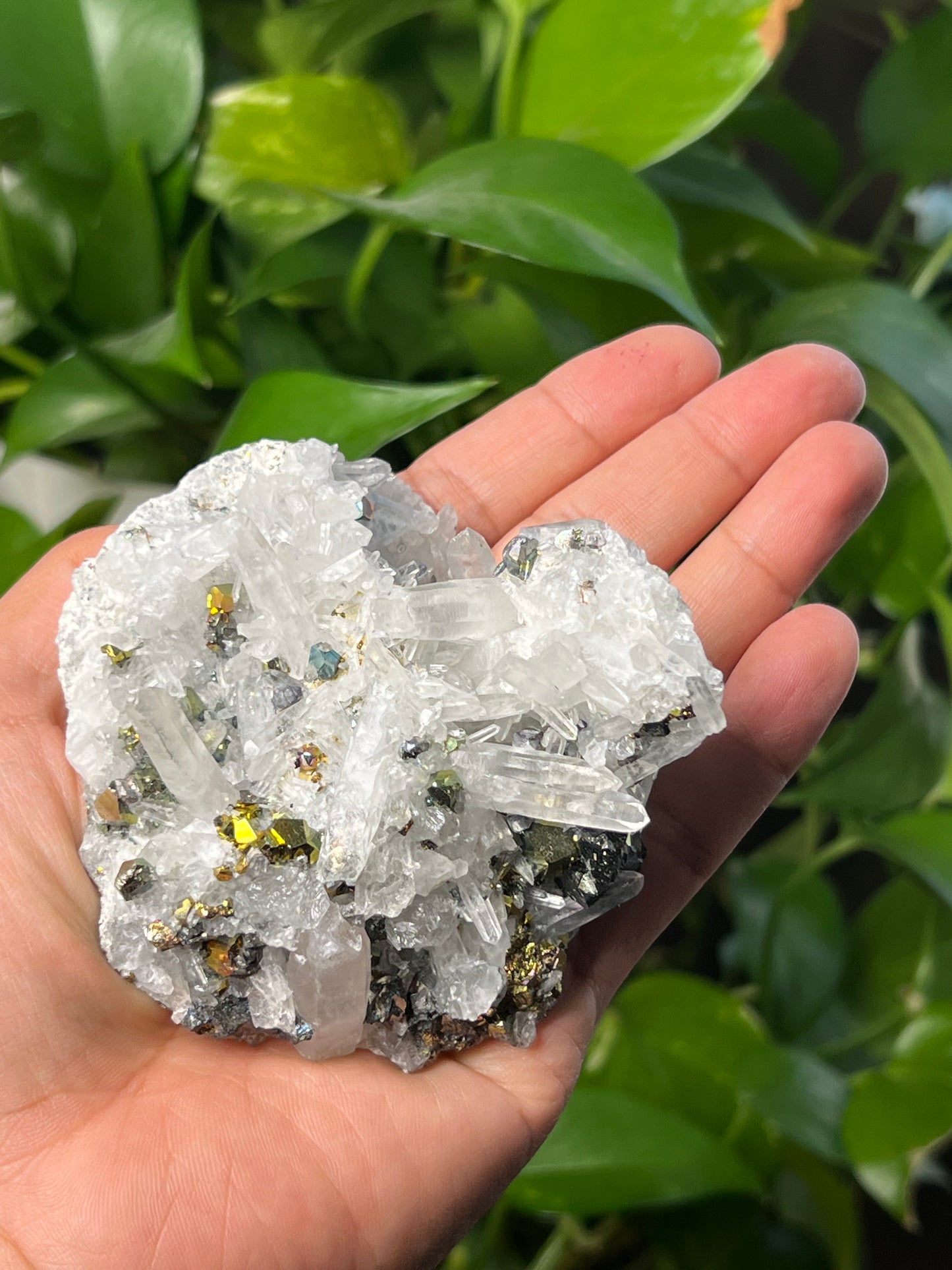 Rainbow Pyrite Quartz