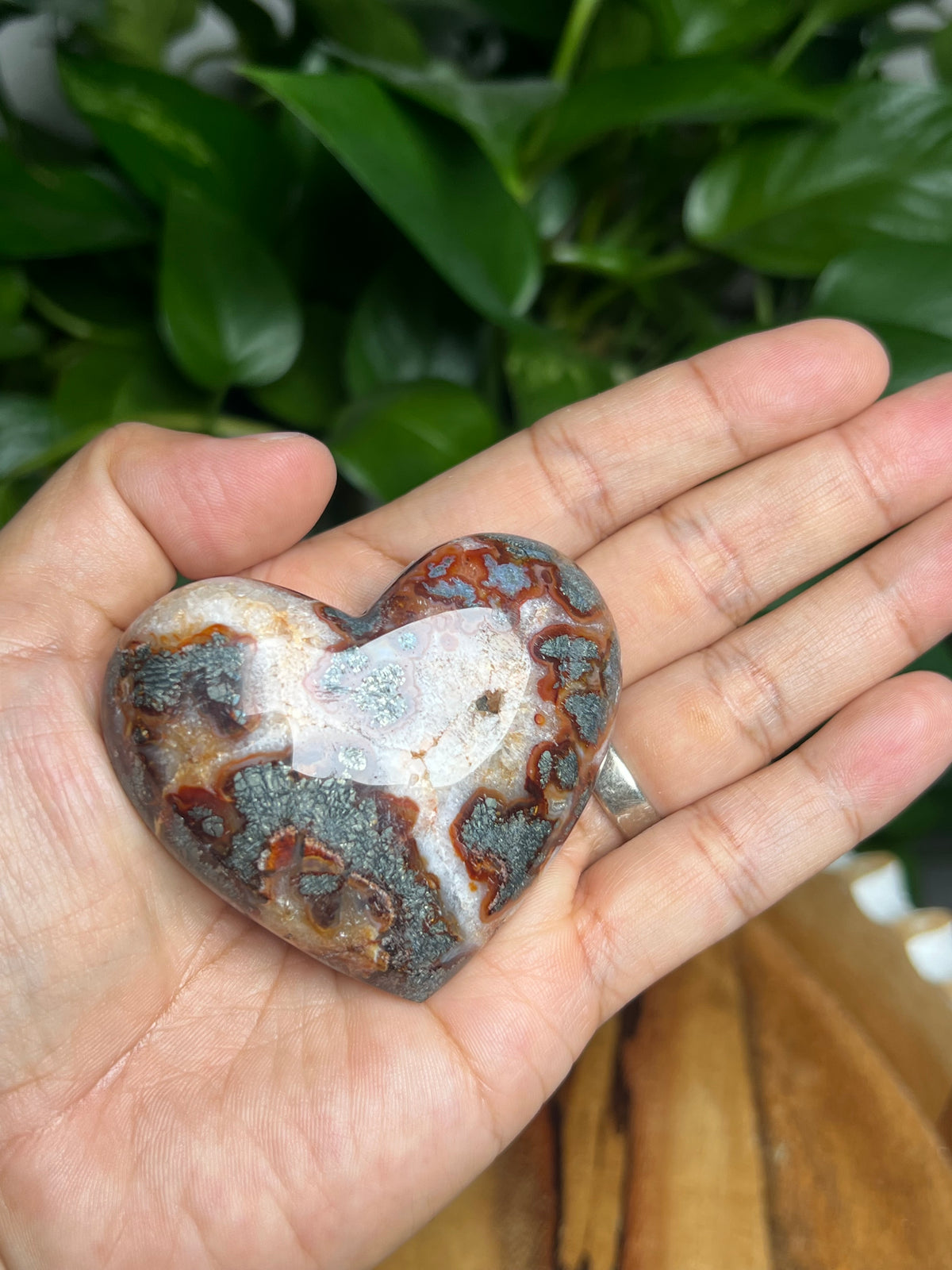 Marcasite Heart: Vi