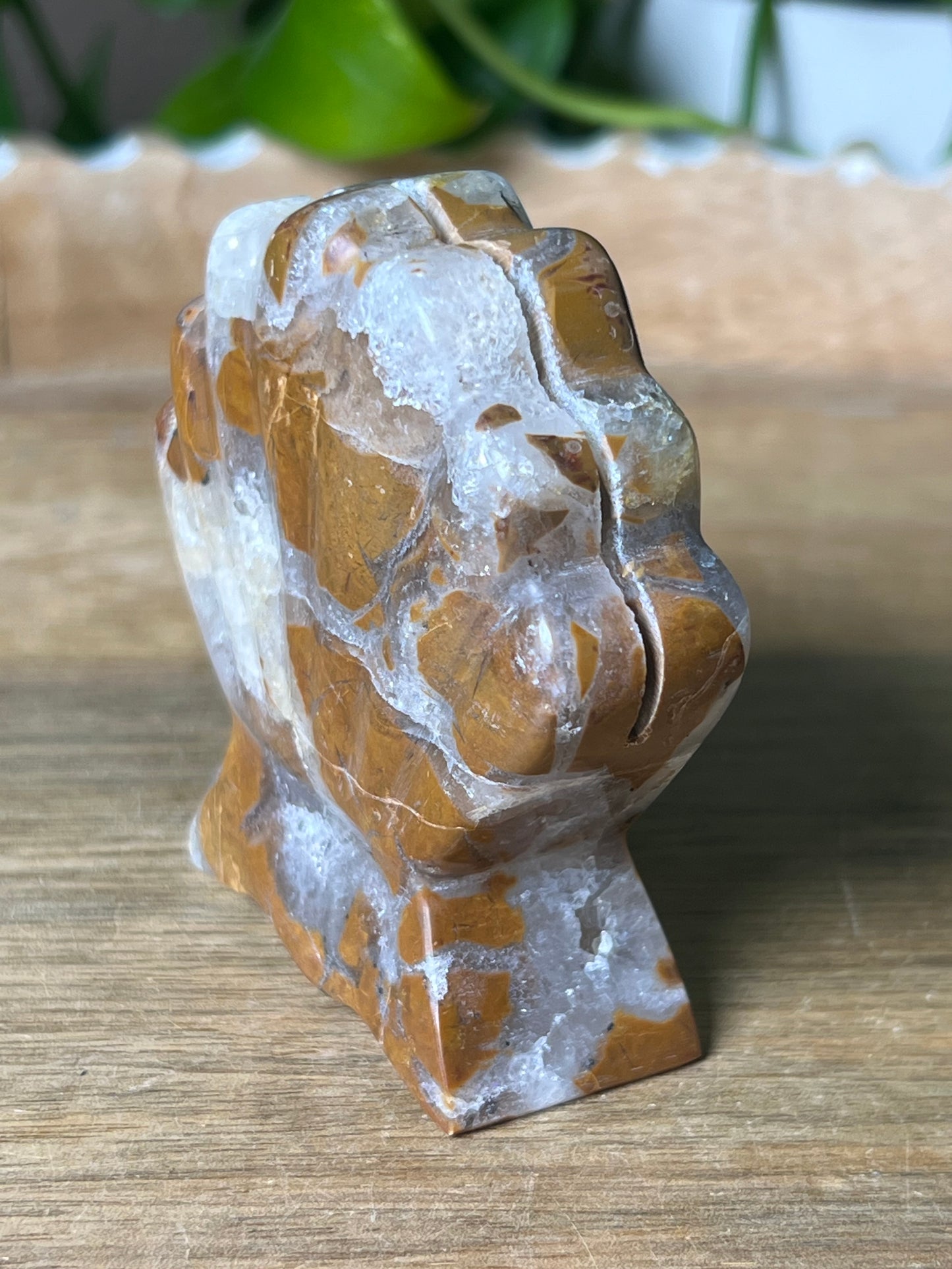 Brecciated Jasper Shell
