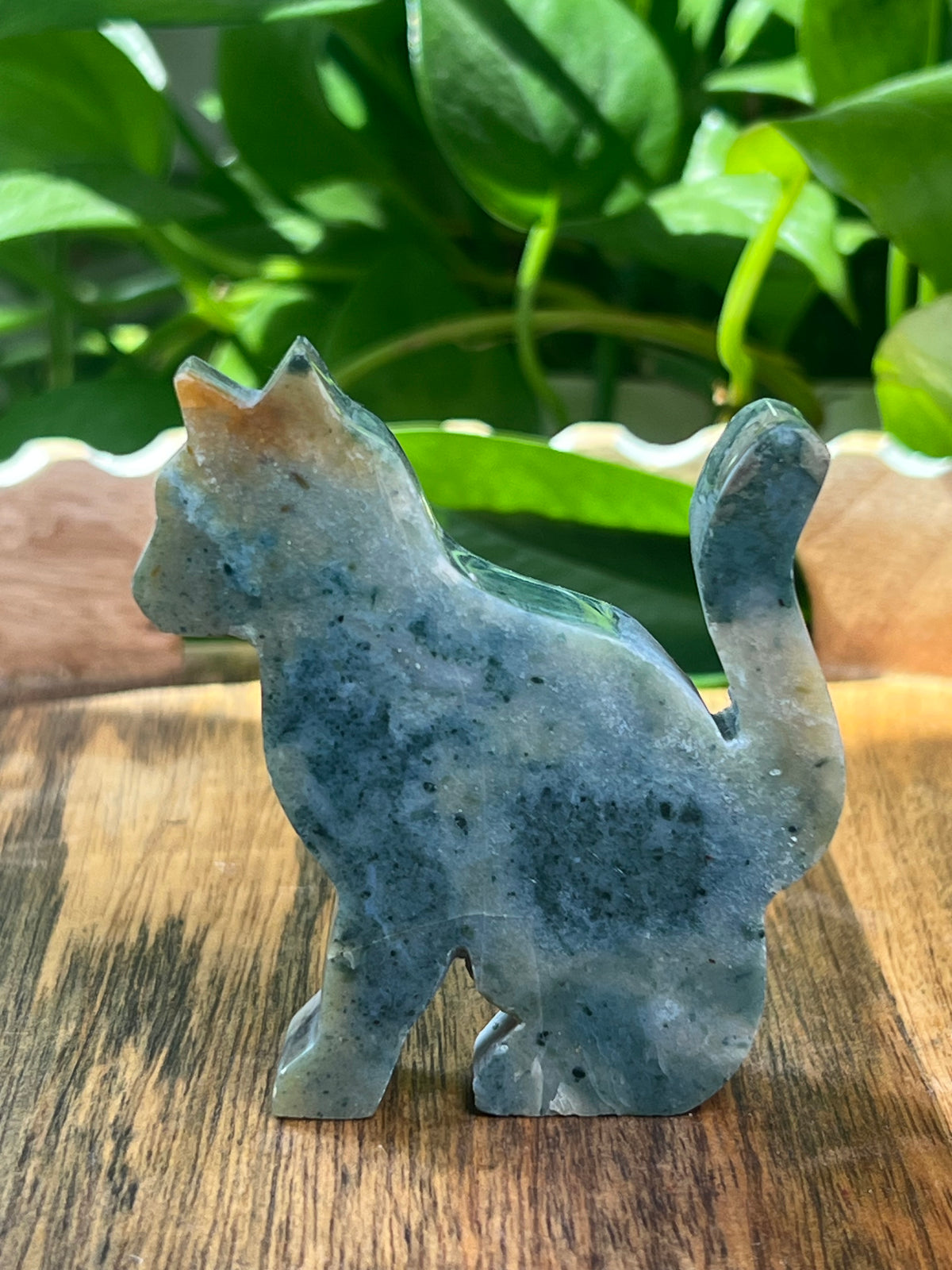 Blue Green Jasper Cat: CQ