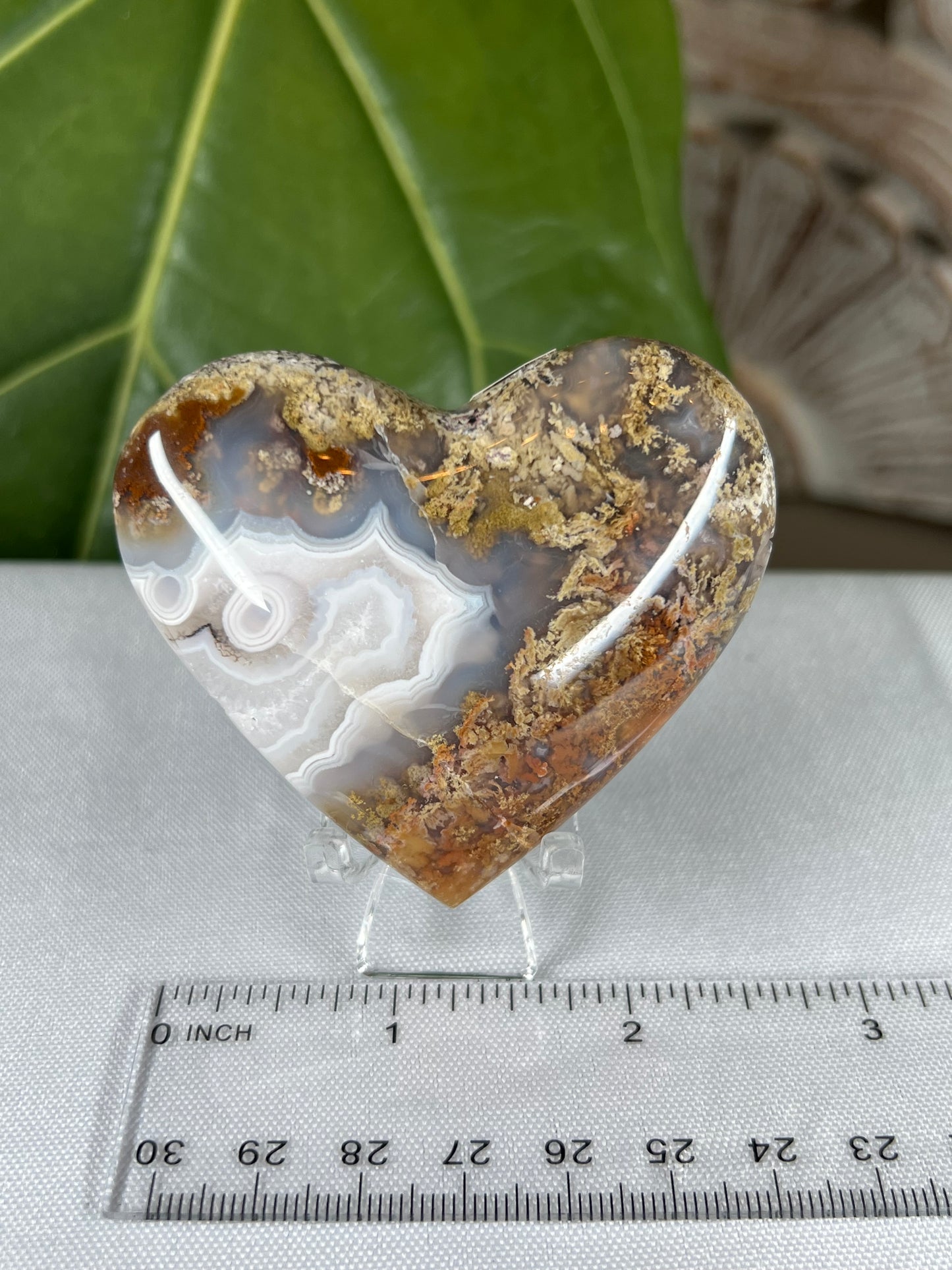 Scenic Moss Agate Heart