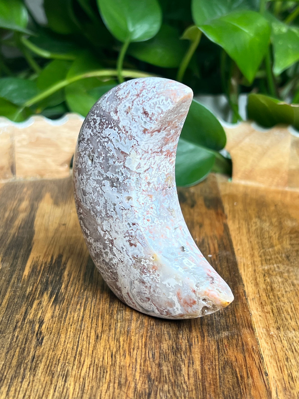 Sumatra Plume Agate Self-Standing Moon: SE