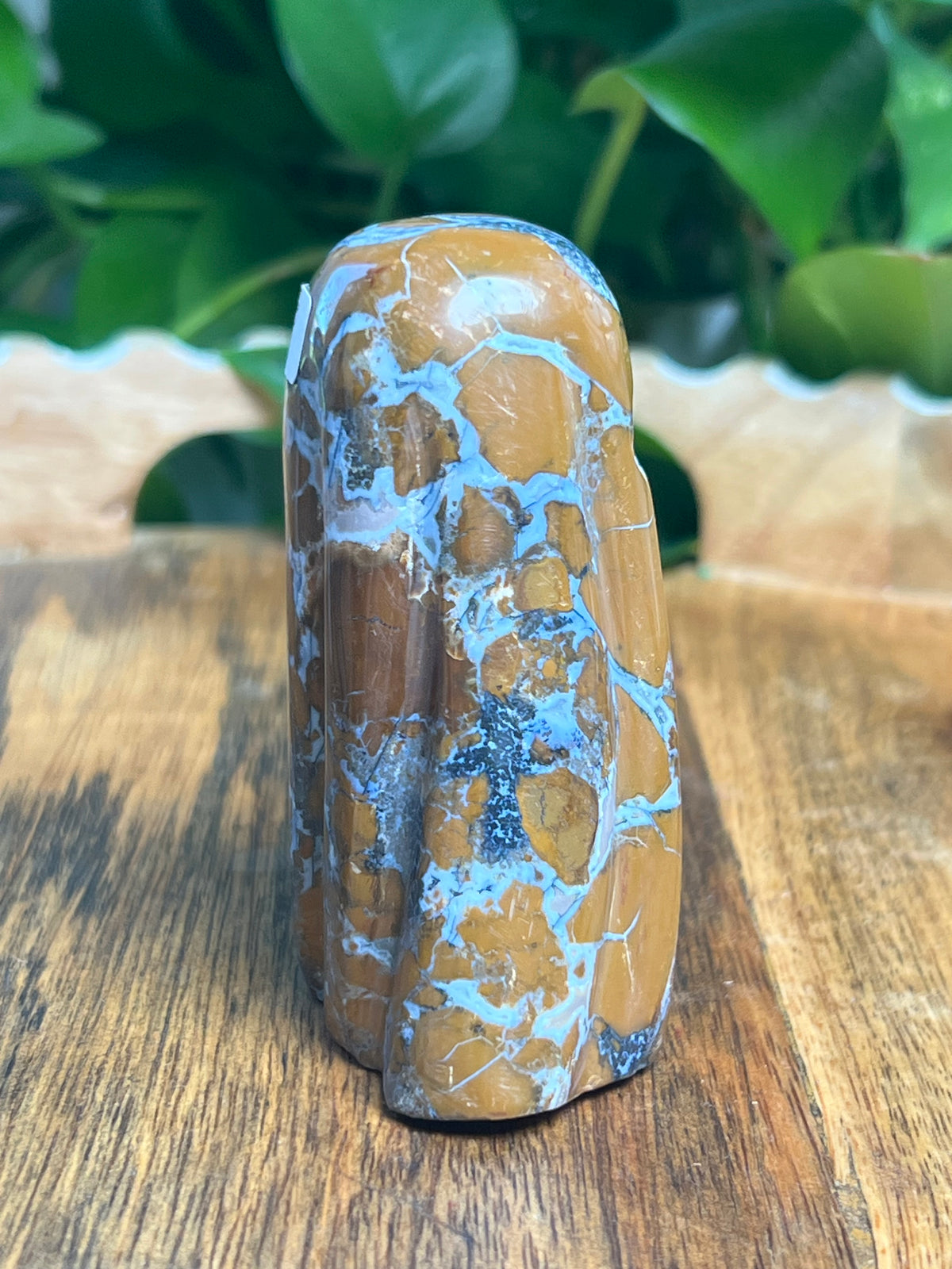 Brecciated Jasper Ghost: W