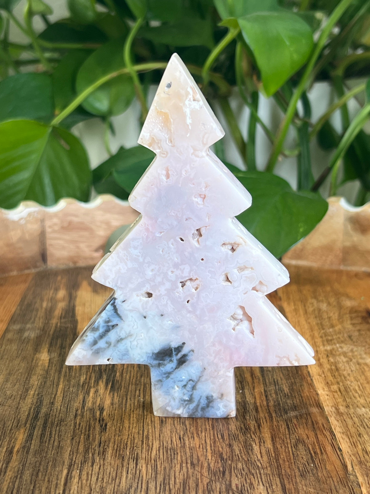 Rainbow Plume Agate Tree: DE
