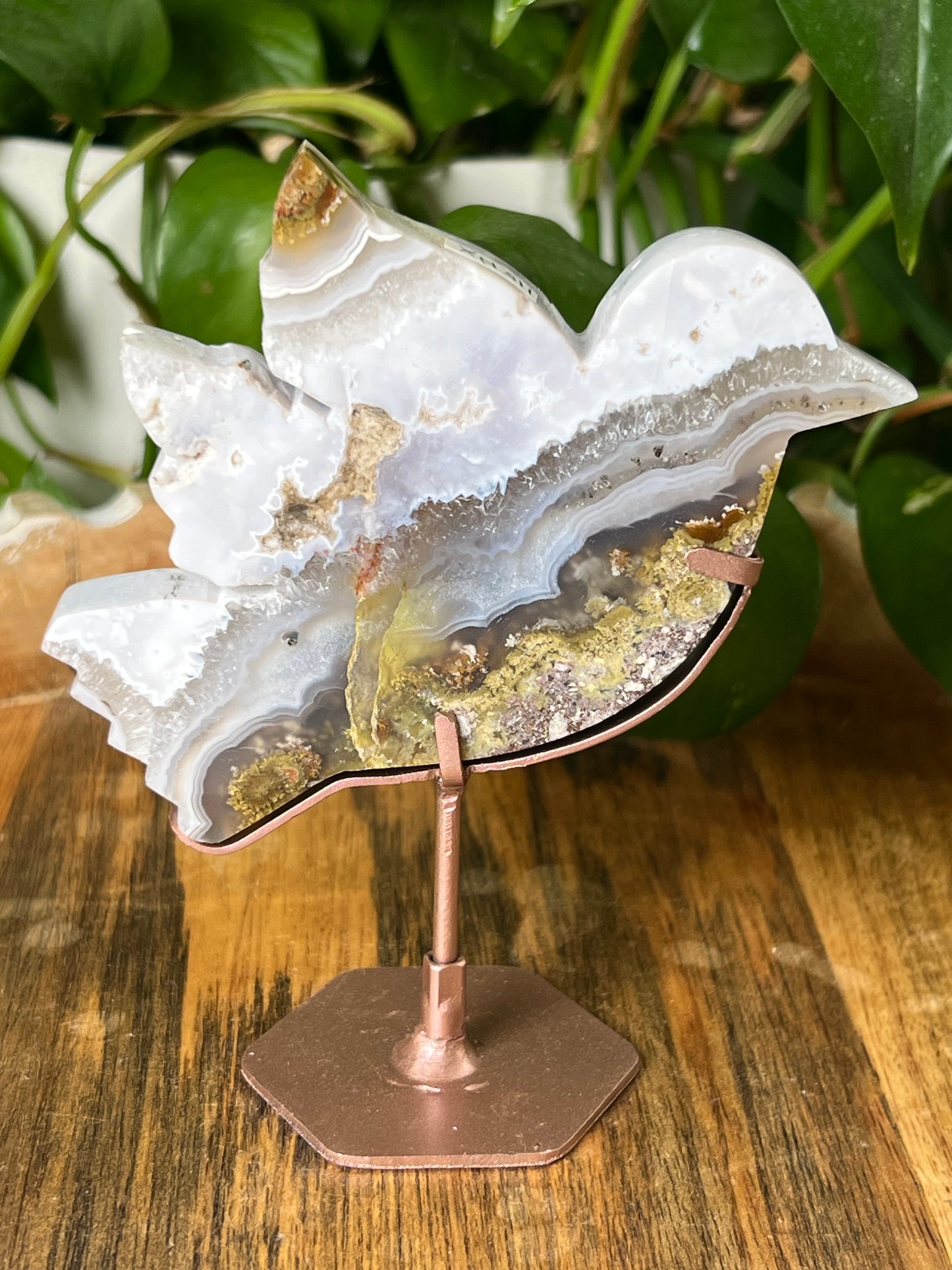 Scenic Moss Agate Bird