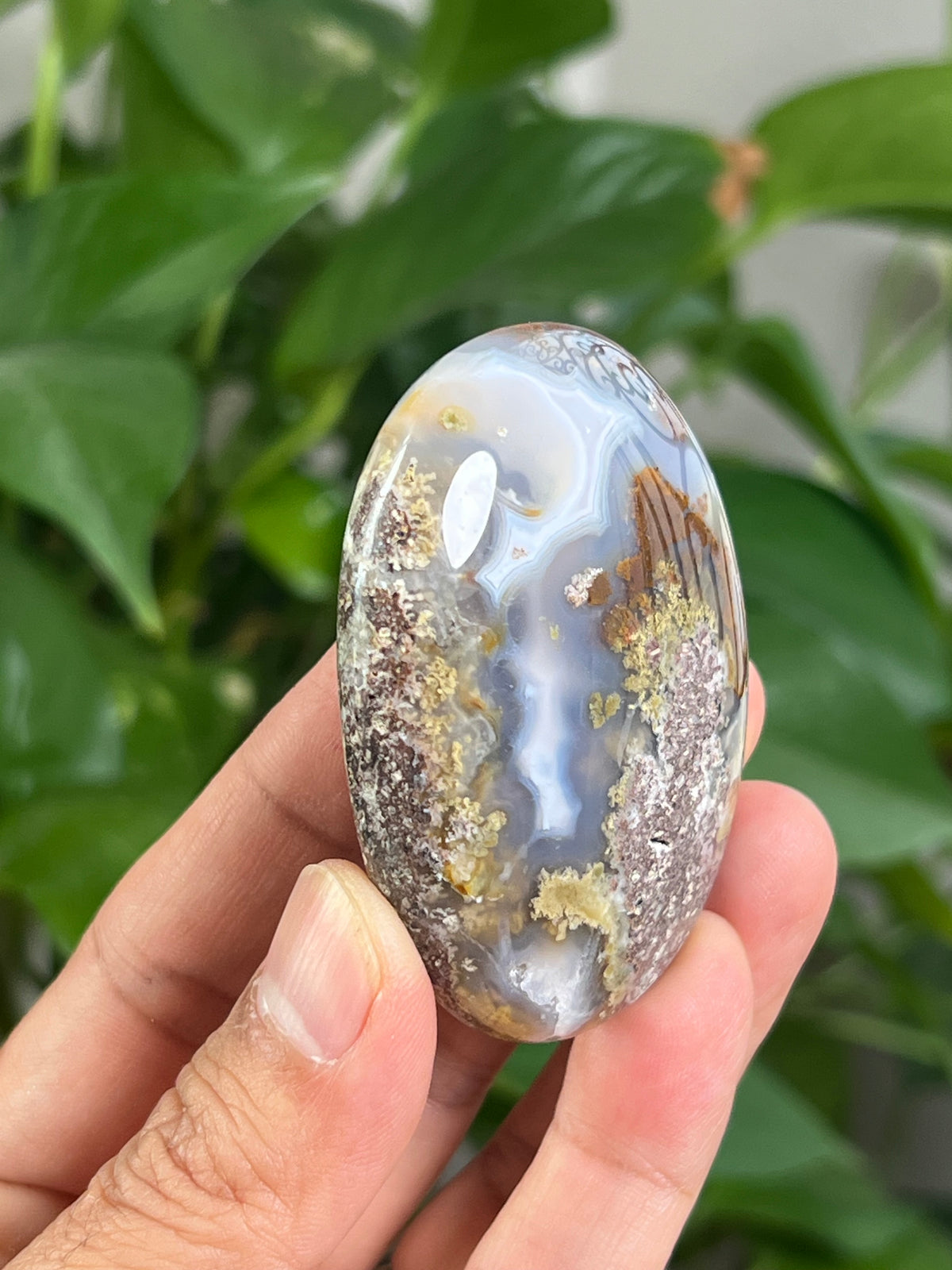 Scenic Moss Agate Palmstone: KA