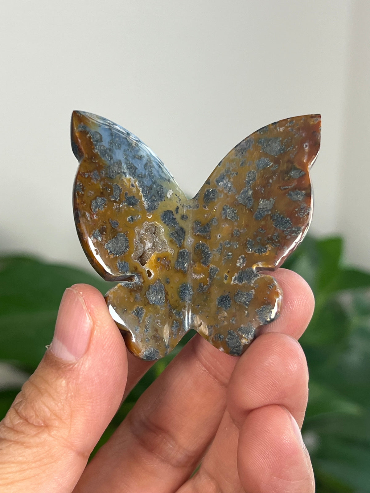 Marcasite 3D Butterflies