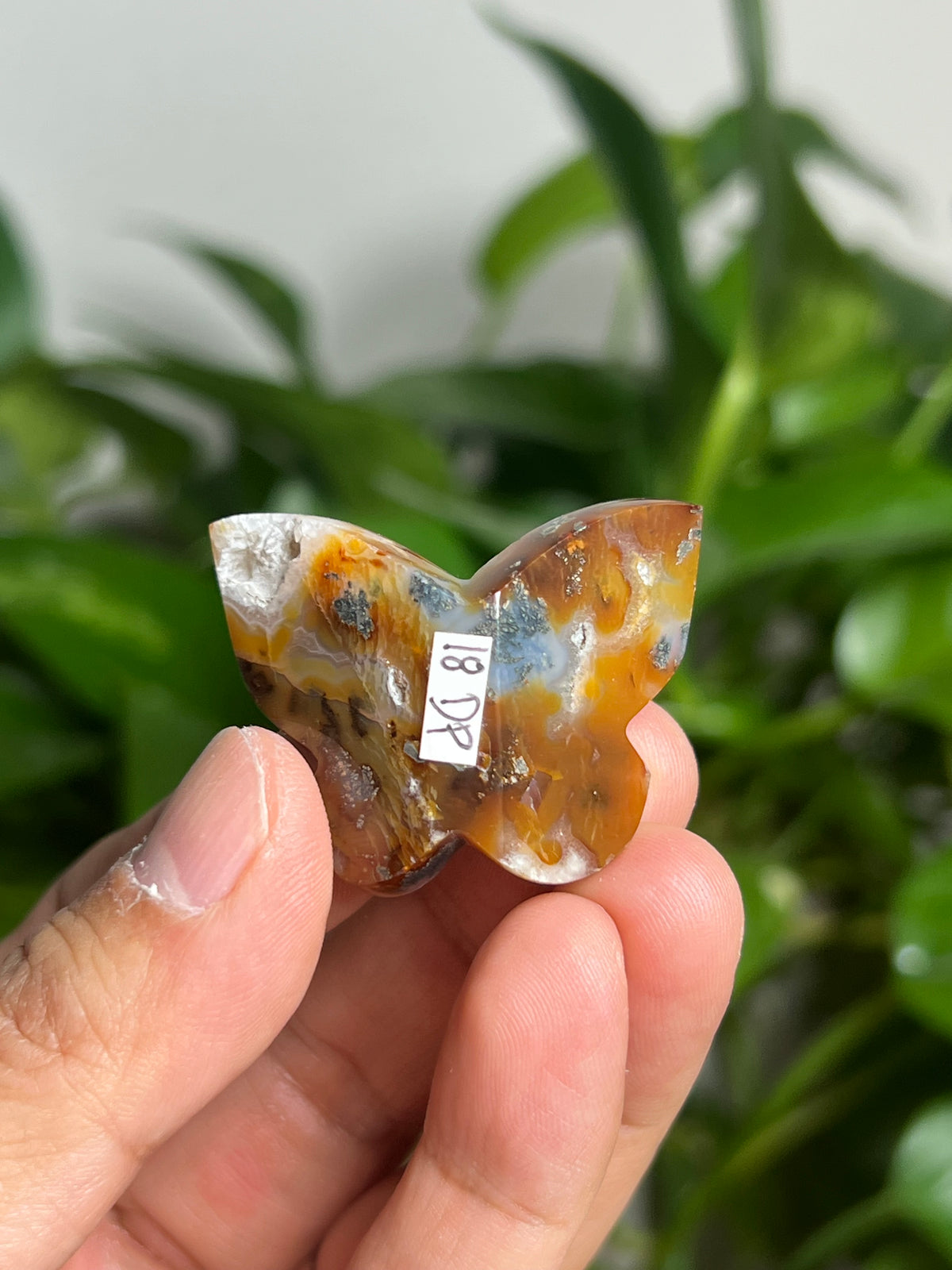 Marcasite Mini 3D Butterfly: DP