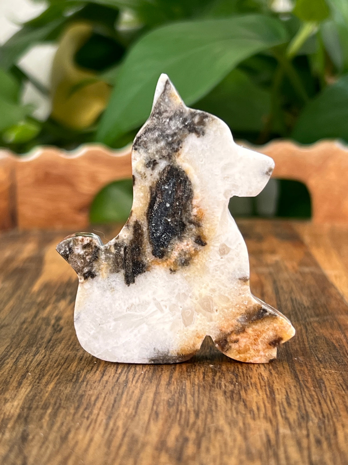 Sphalerite Dogs