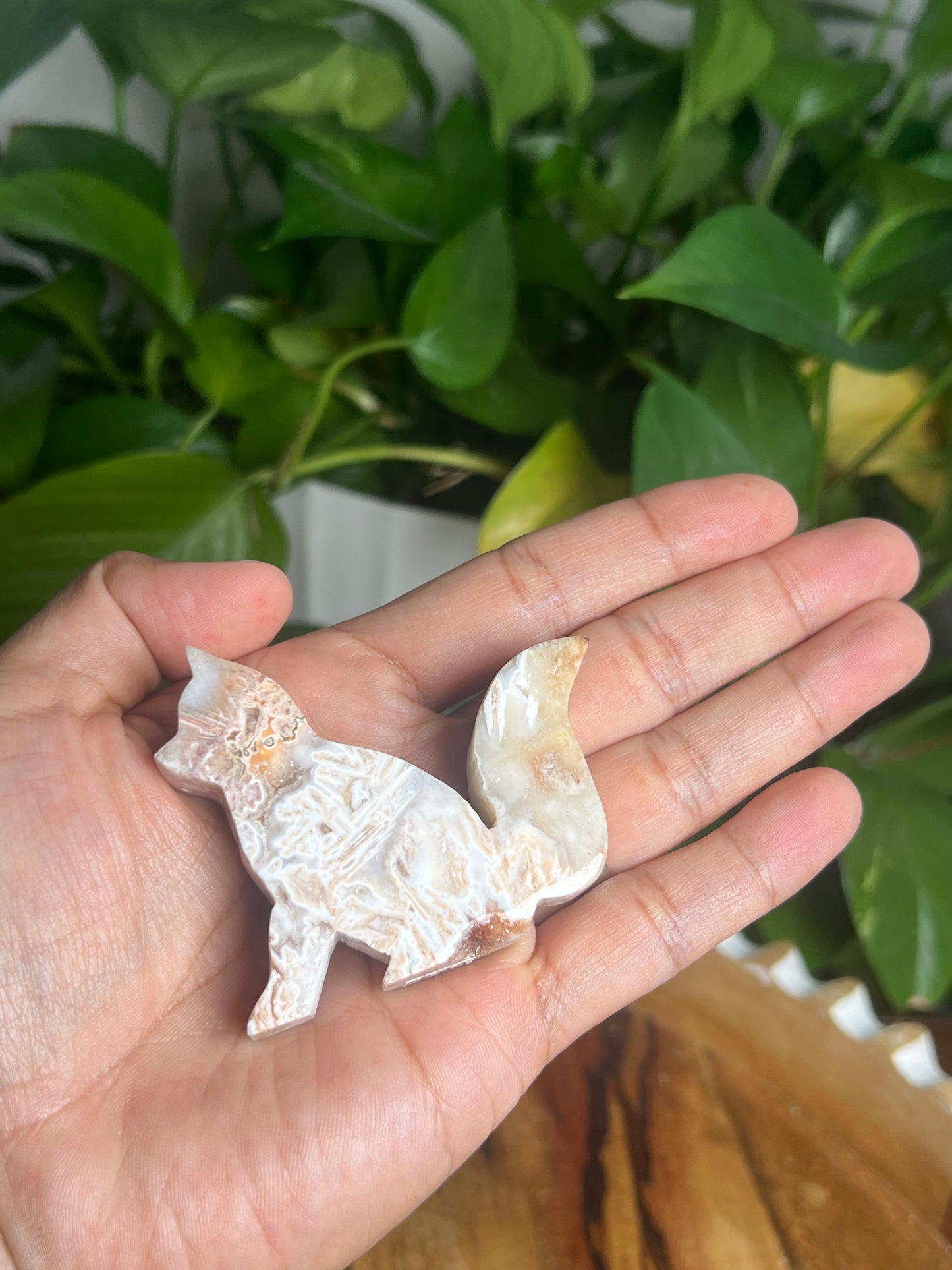 Tube Agate Fox BA