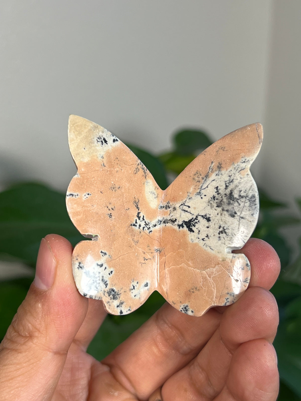 Peachy Pink Dendritic Jasper 3D Butterflies
