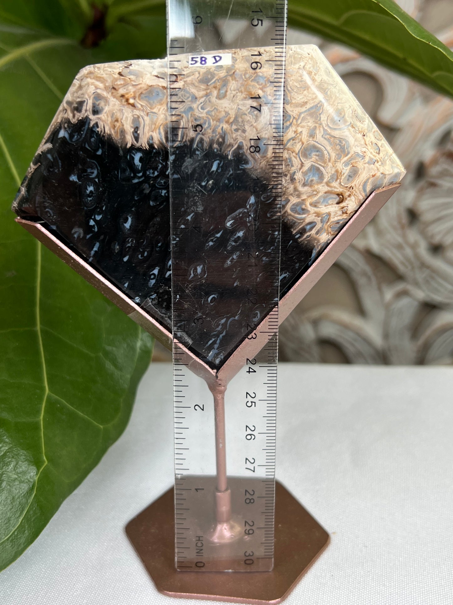 Palm Root Diamond