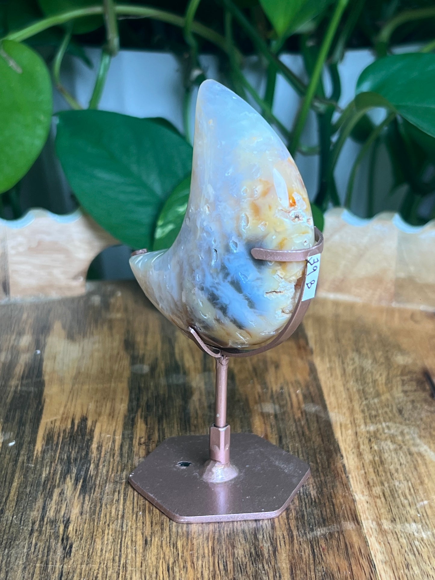 Rainbow Plume Agate Moon: B