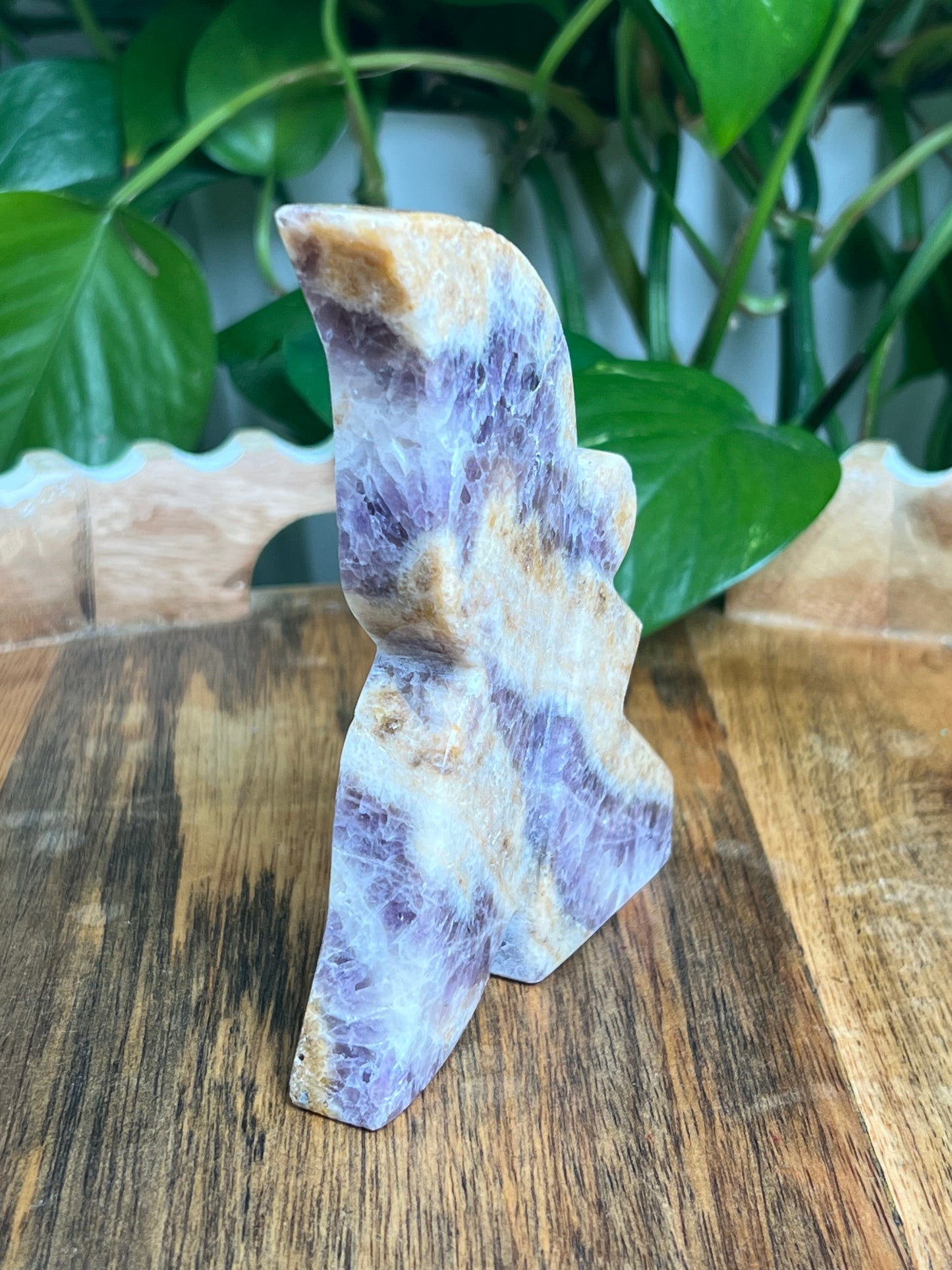 Indonesian Amethyst Fairy: SA