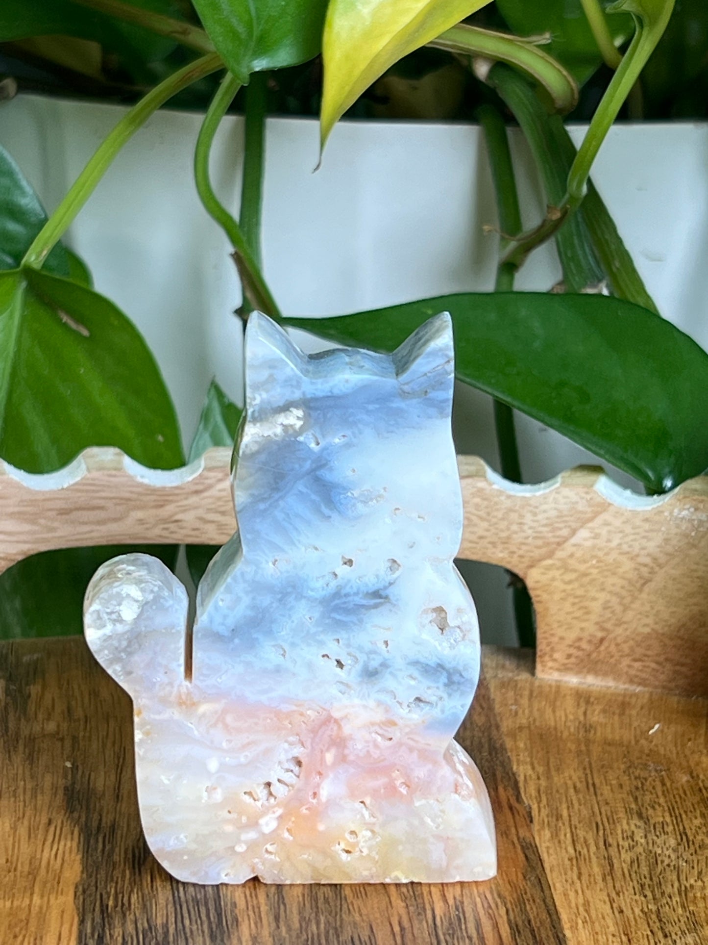 Rainbow Plume Agate Cat NH