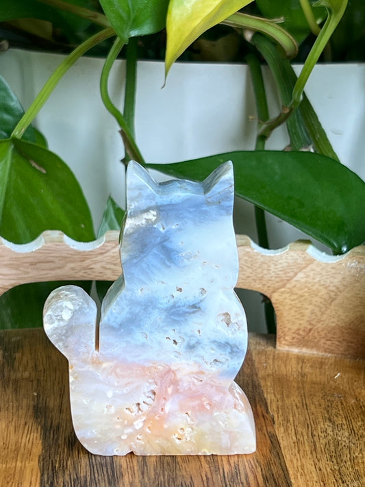 Rainbow Plume Agate Cat NH