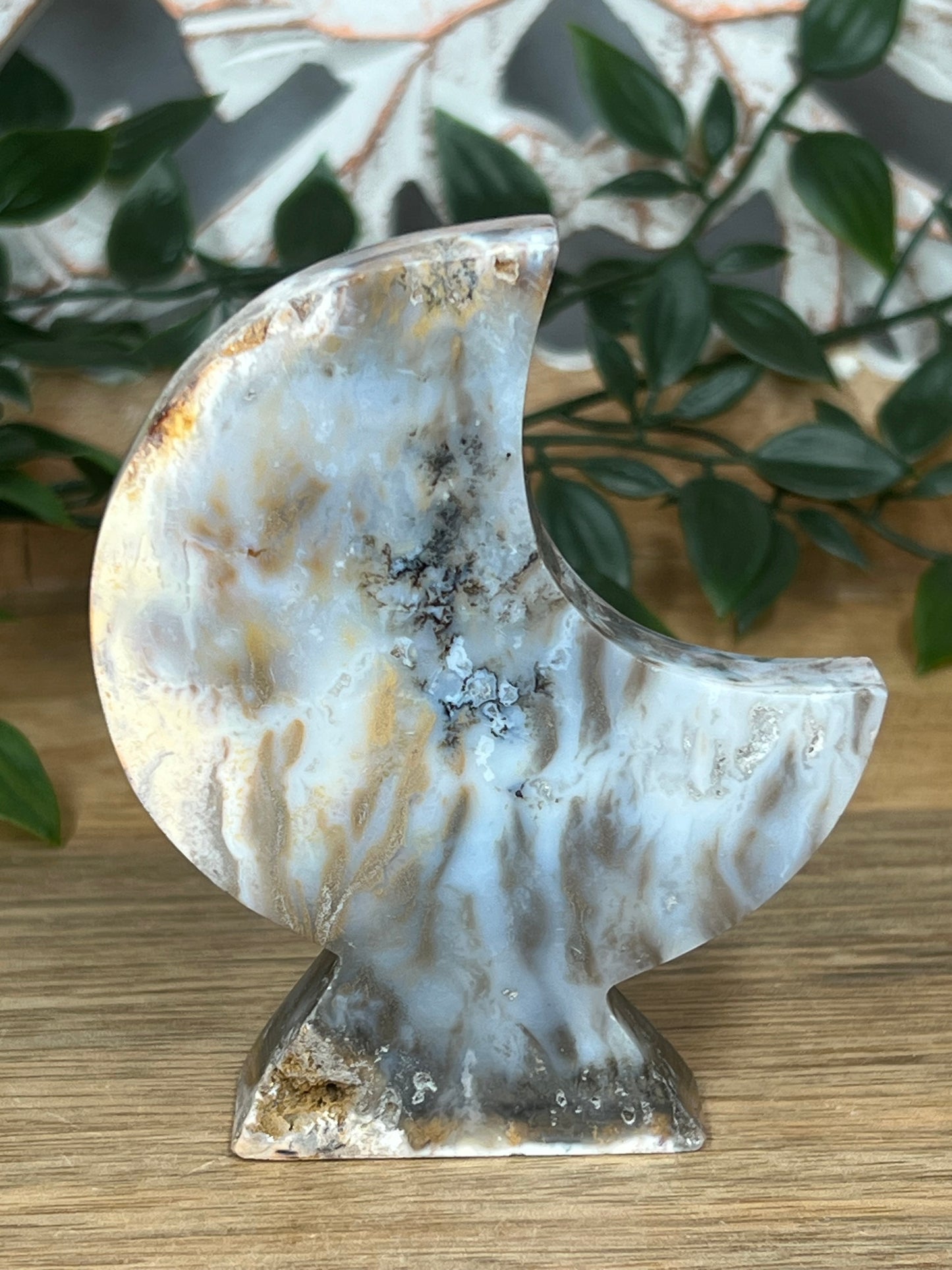 Dendritic Tiger Agate Moon