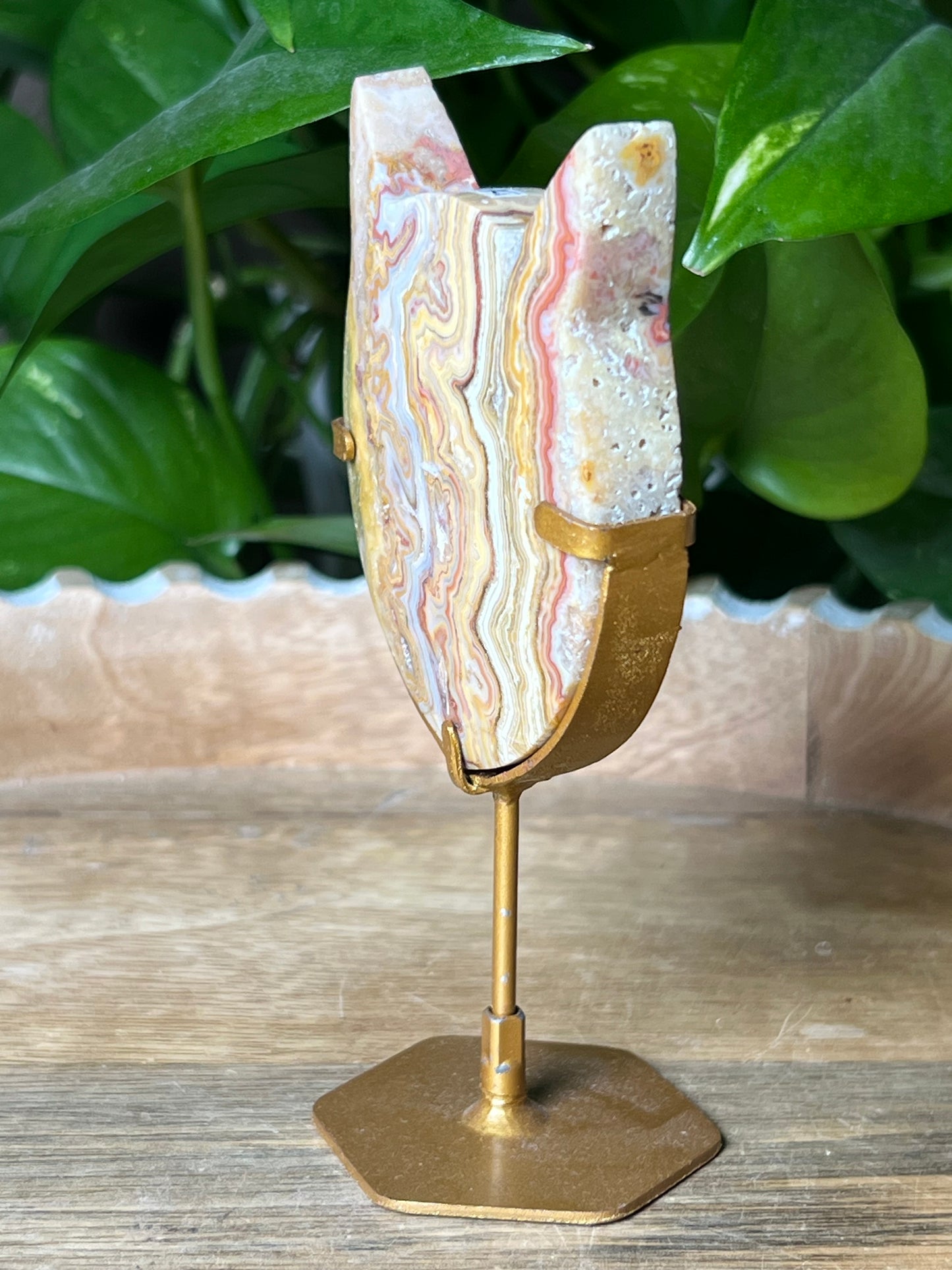 Crazy Lace Agate Cat Head