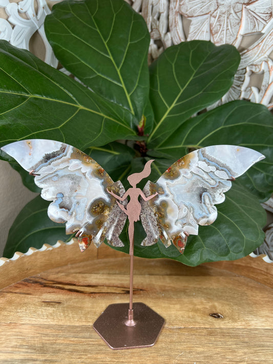 Scenic moss agate wings