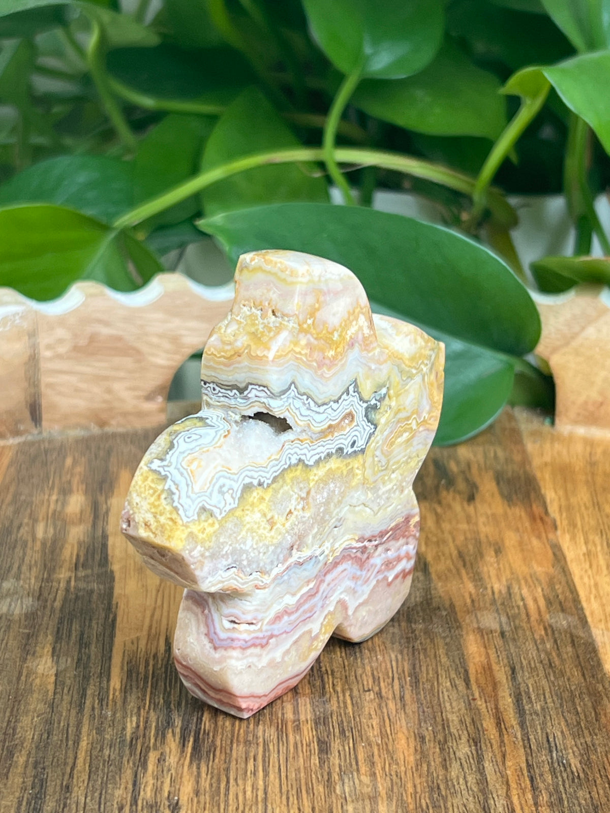 Crazy Lace Agate Flower: CE