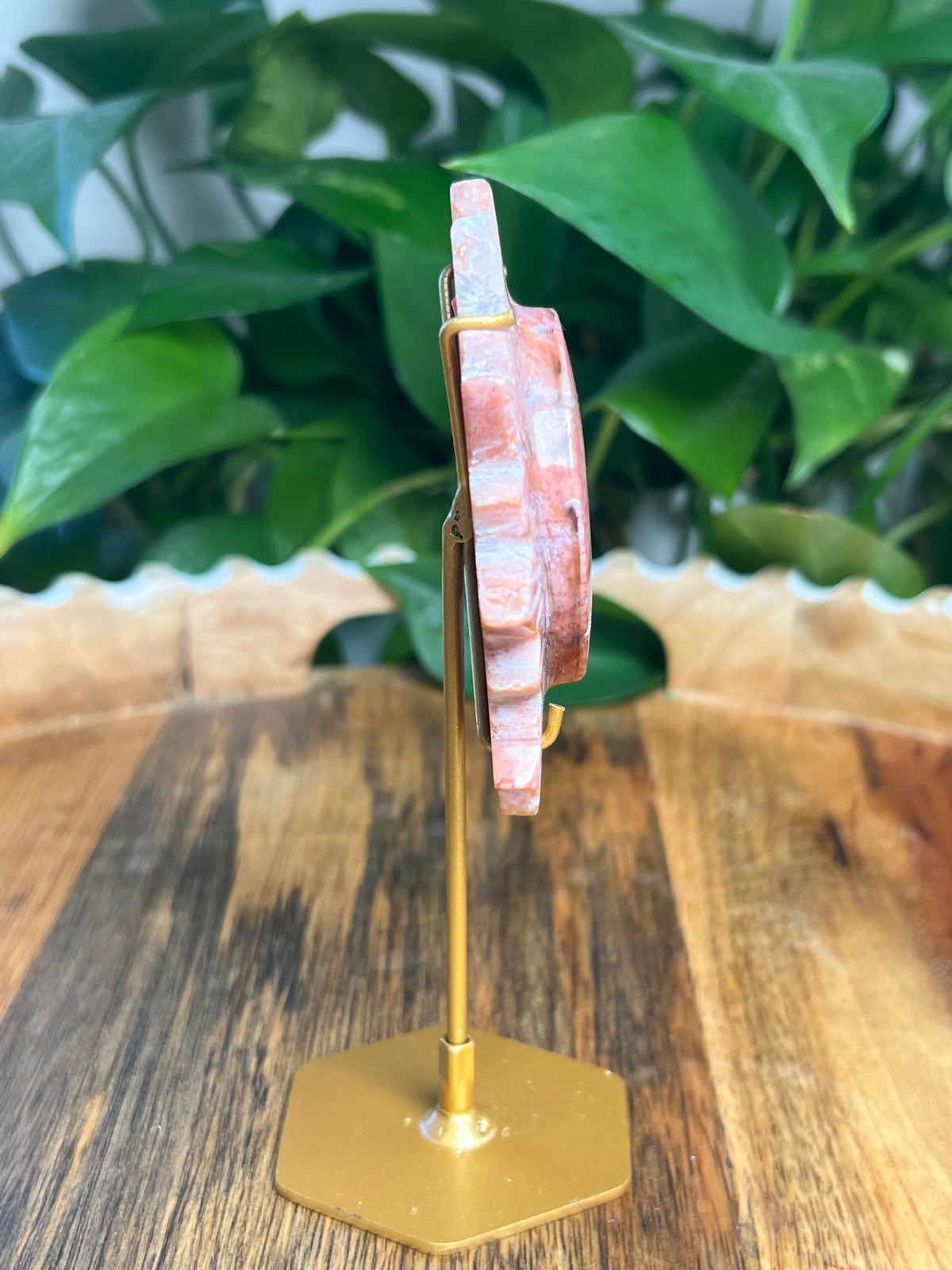 Carnelian Sun: RK