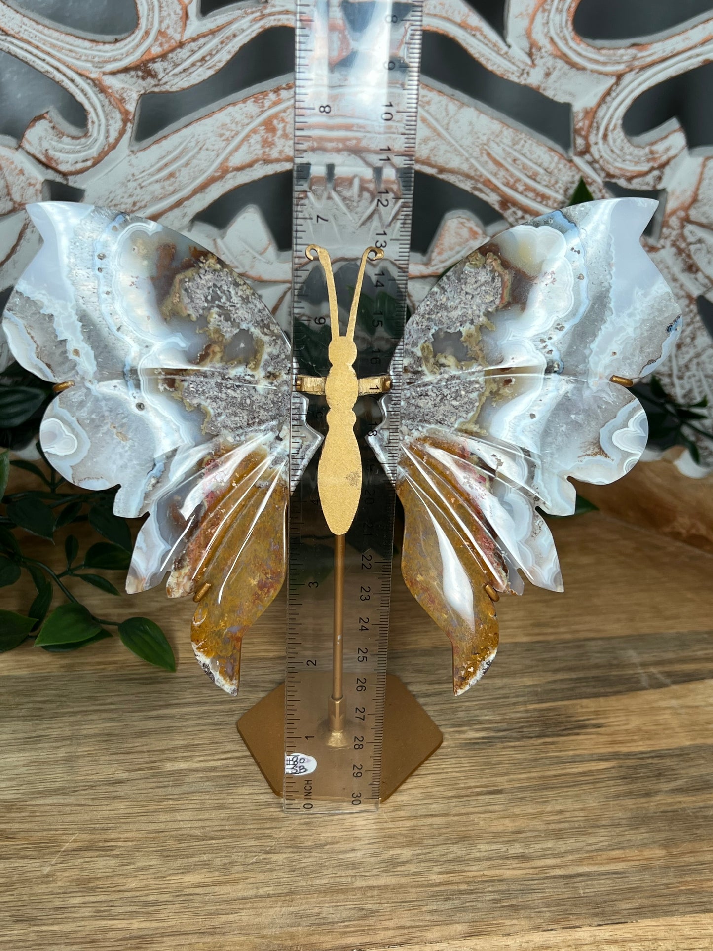 Scenic Moss Agate Wings