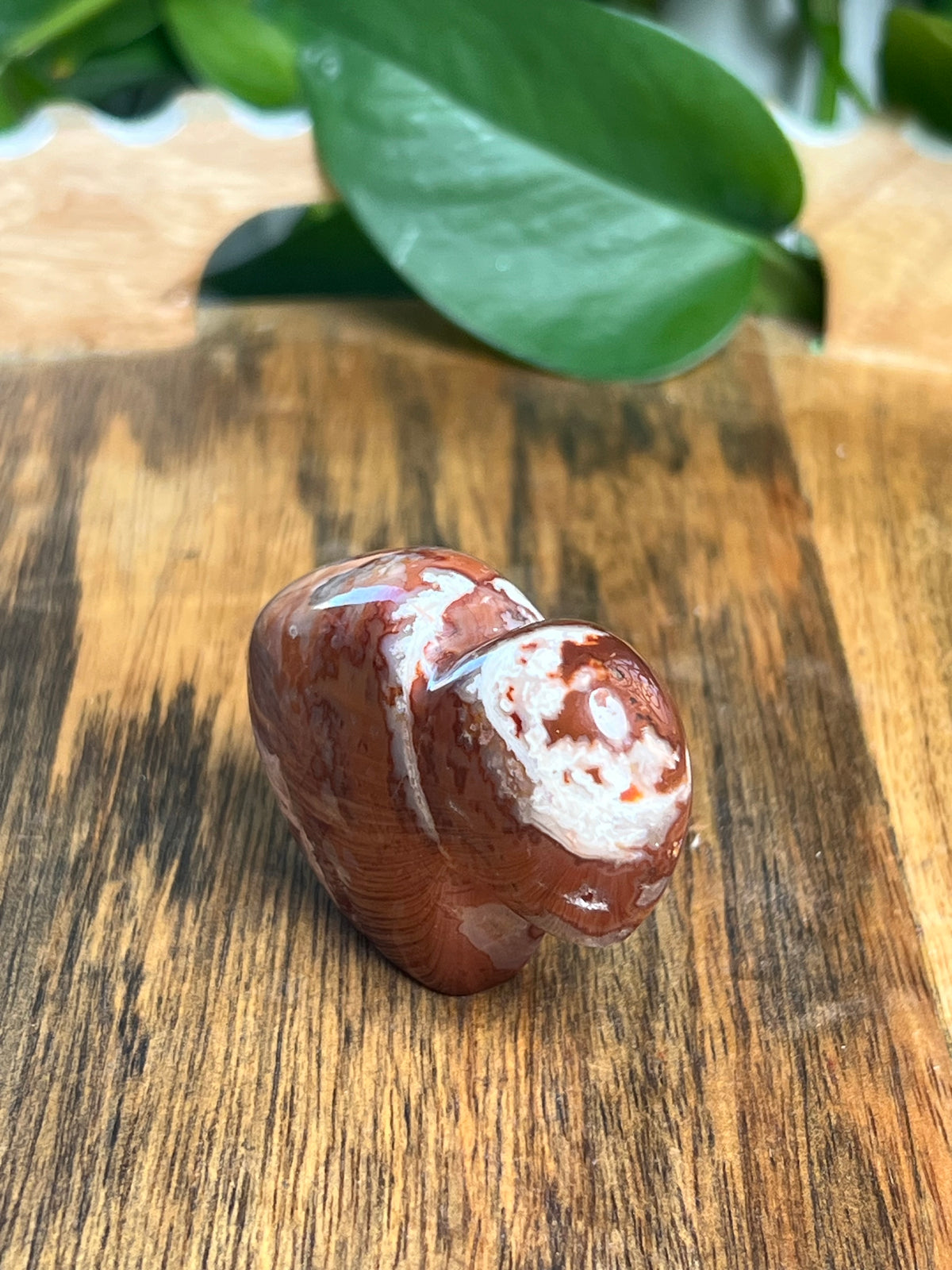 Carnelian Mini Buffalo: BK