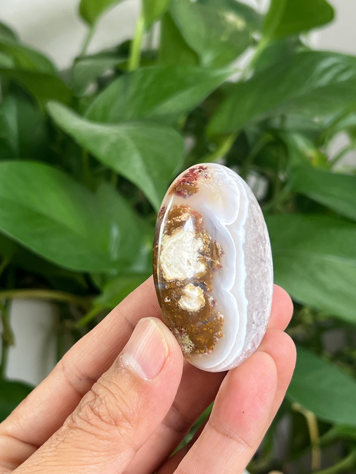 Scenic Moss Agate Palmstone: A