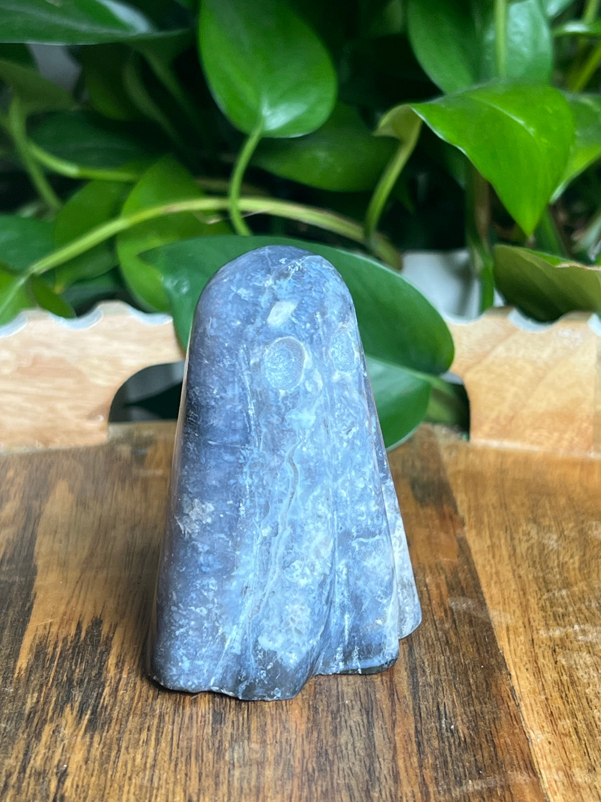 Blue Plume Agate Ghost: F