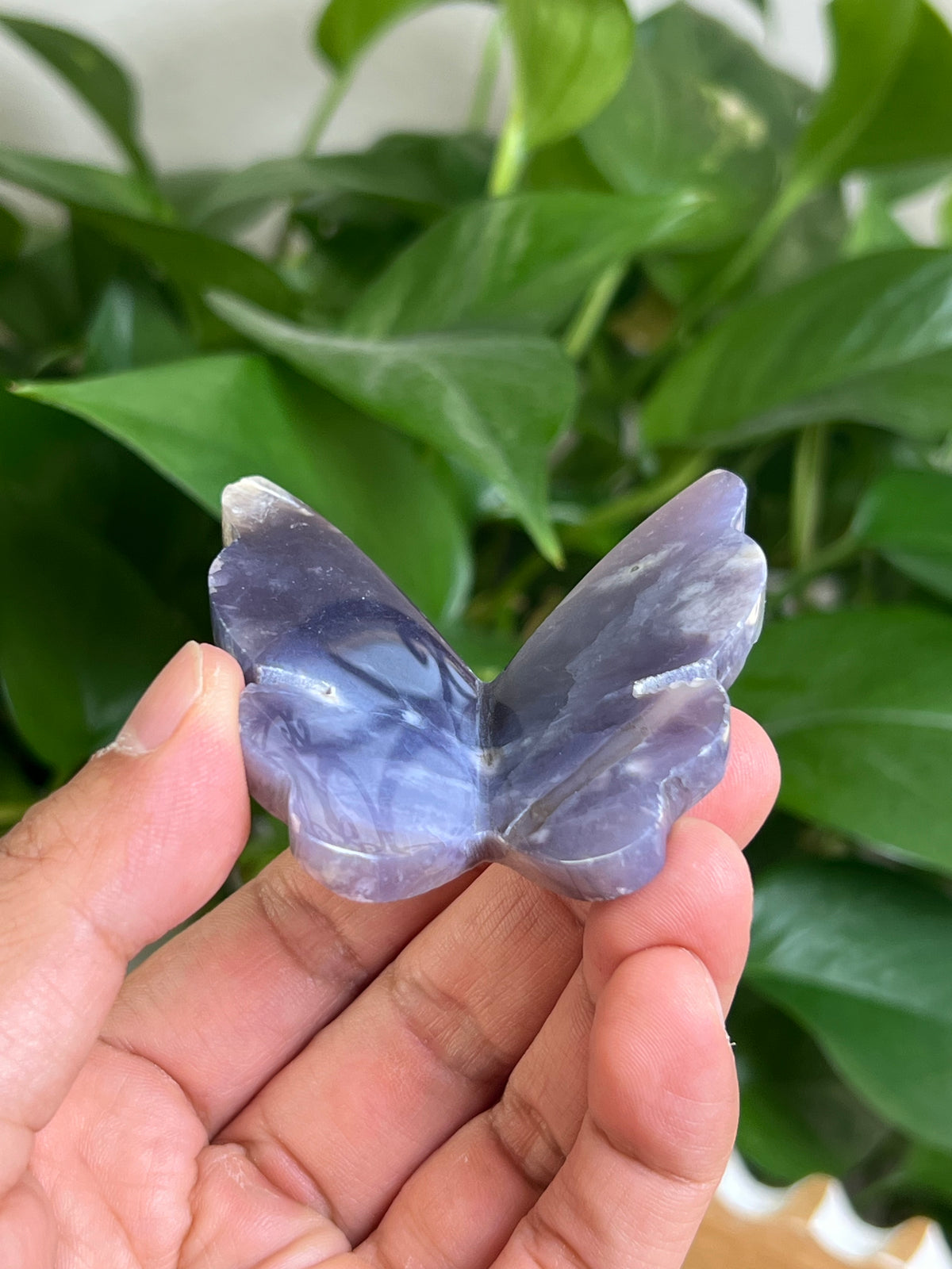 Purple Chalcedony 3D Butterfly: CA