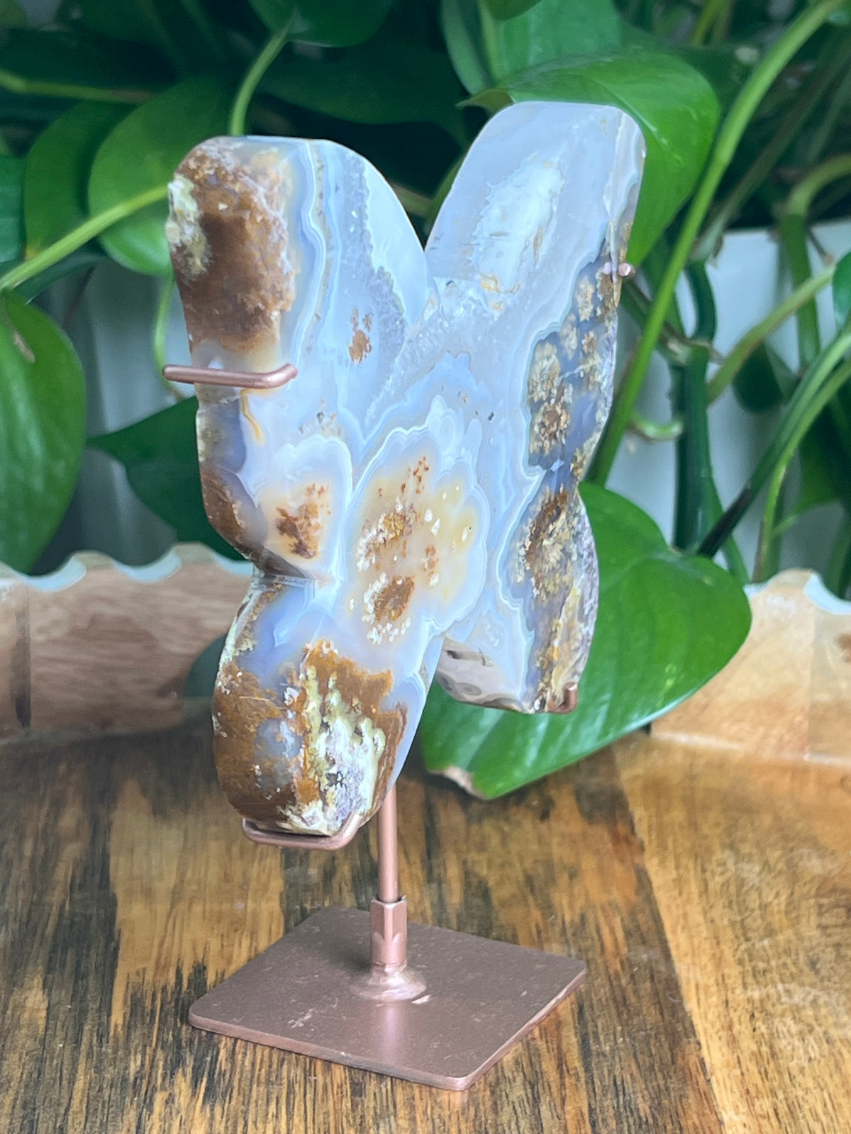 Scenic Moss Agate Butterfly: A