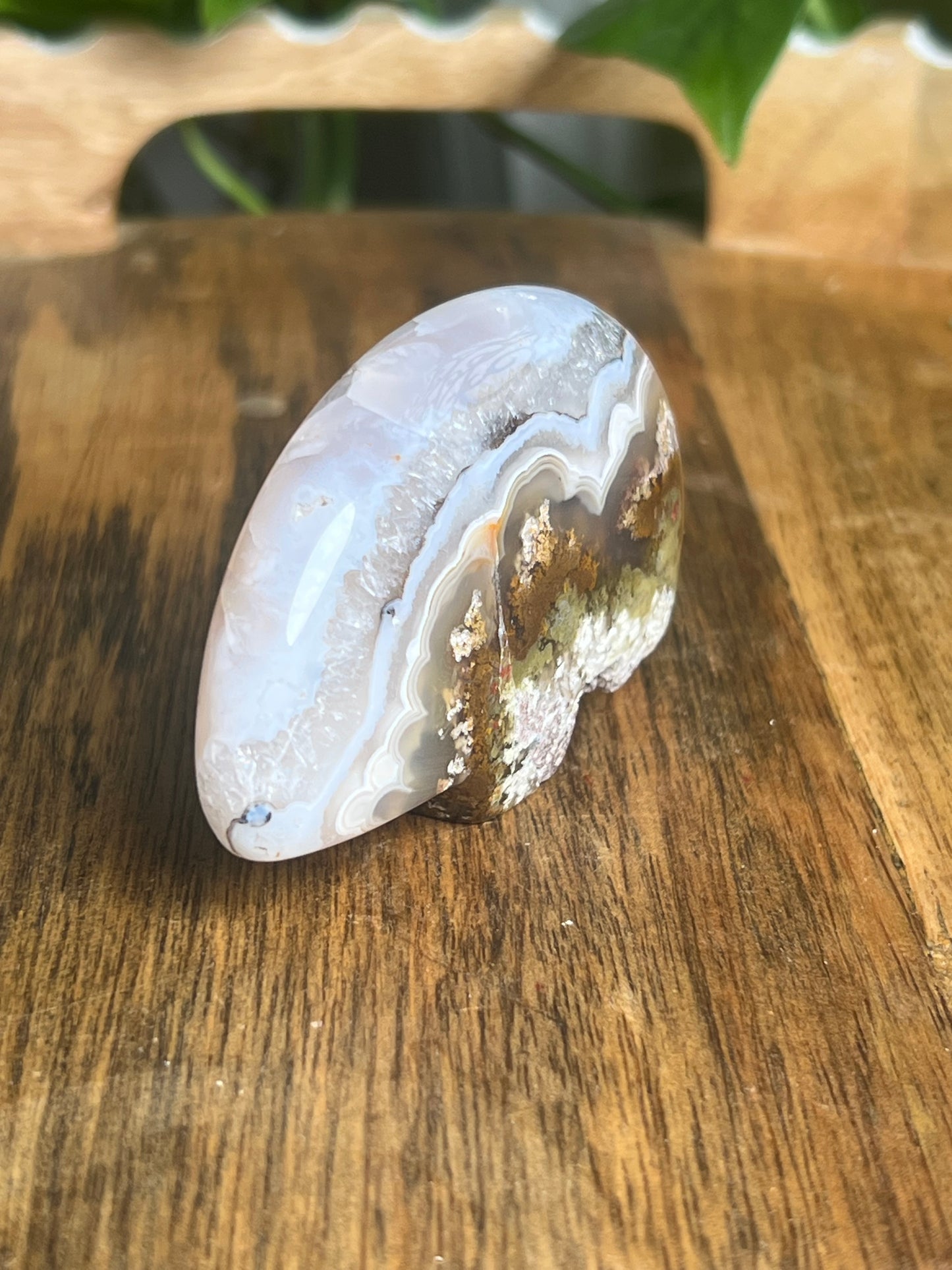 Scenic Moss Agate Bear BG
