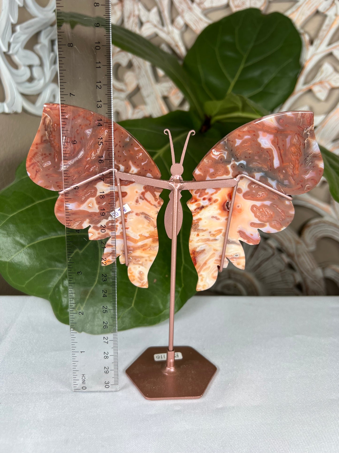 Carnelian Wings