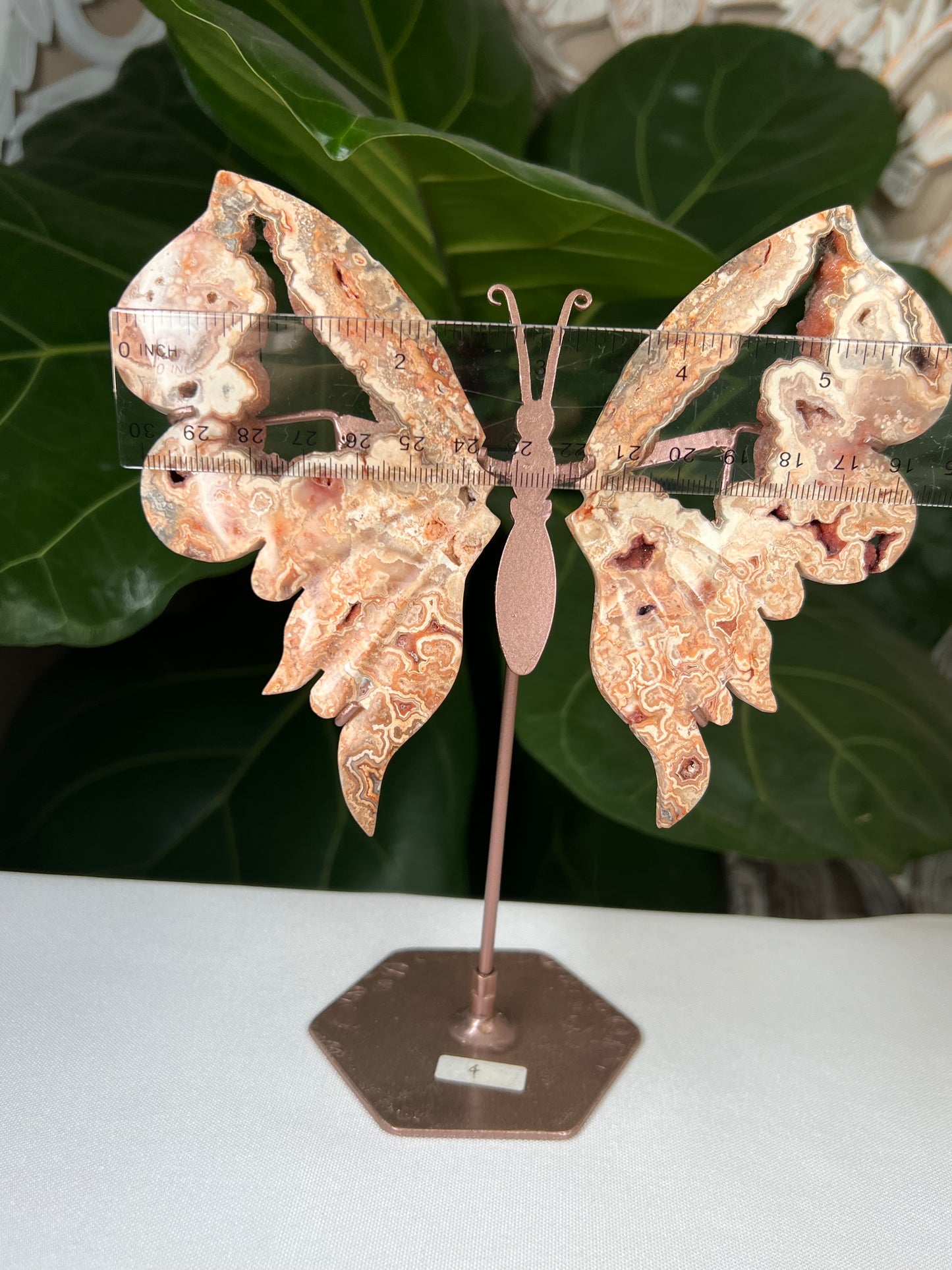 Crazy Lace Agate Wings