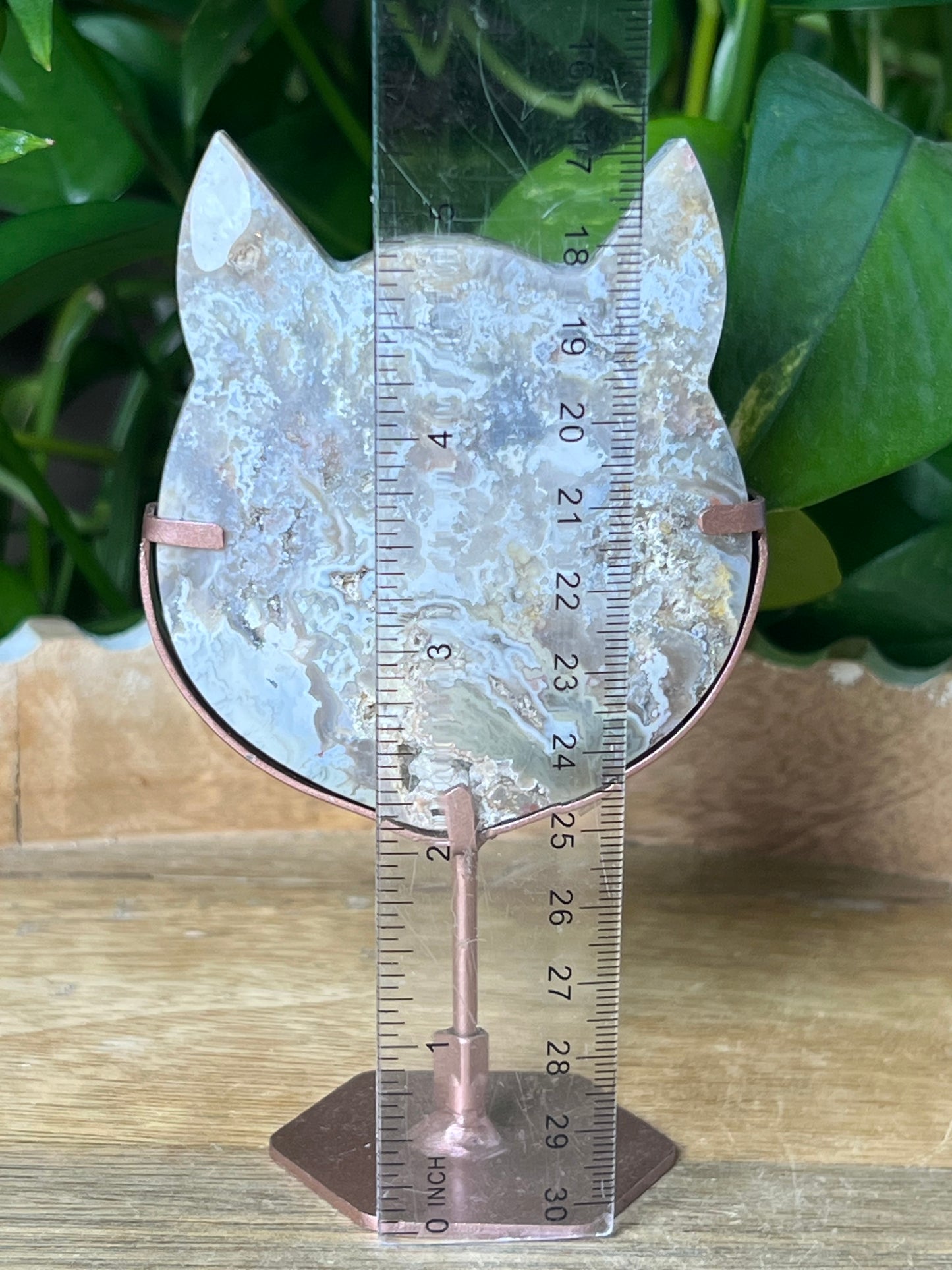 Sumatra Plume Agate Cat Head