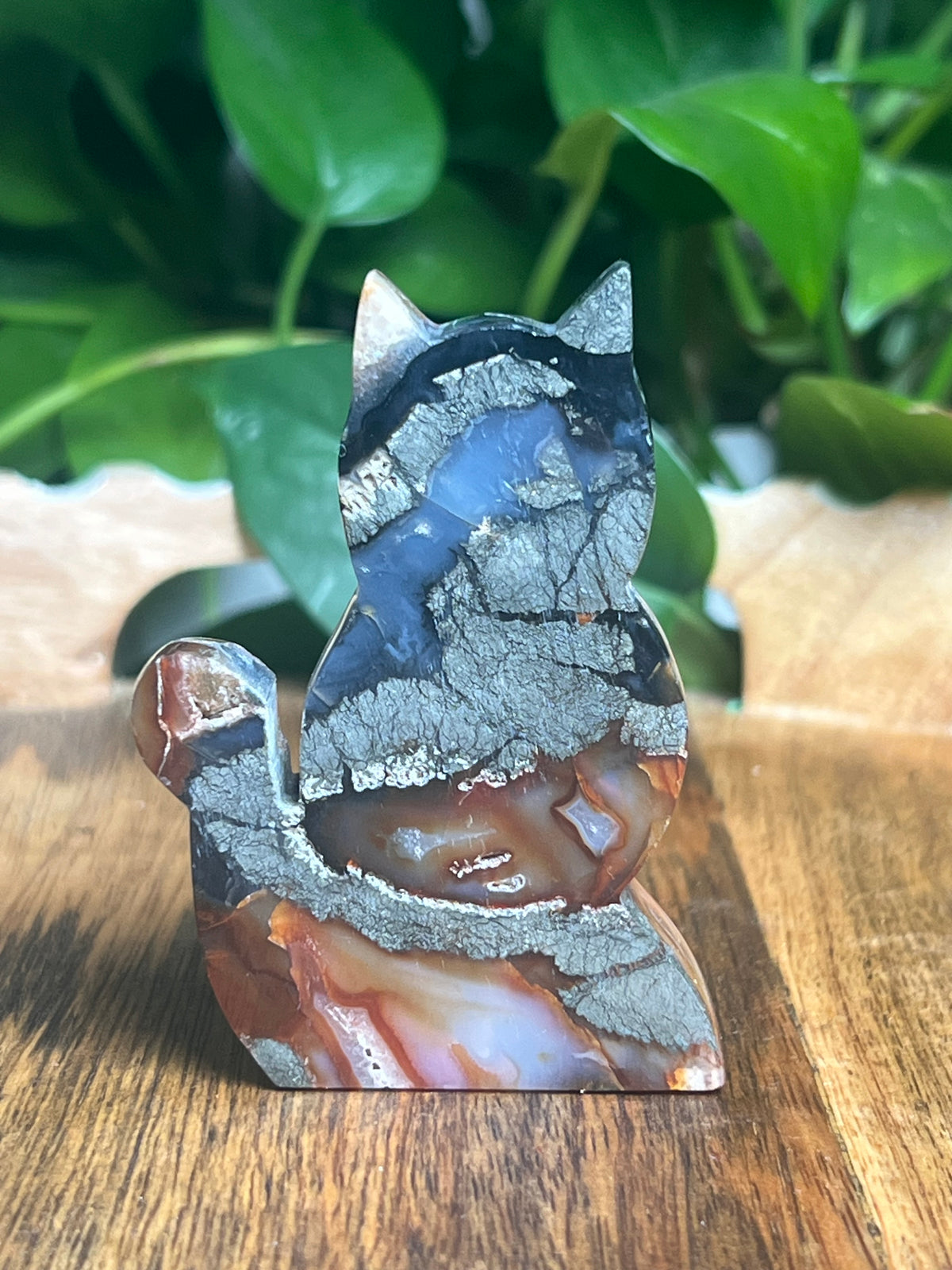 Marcasite Cat: DA