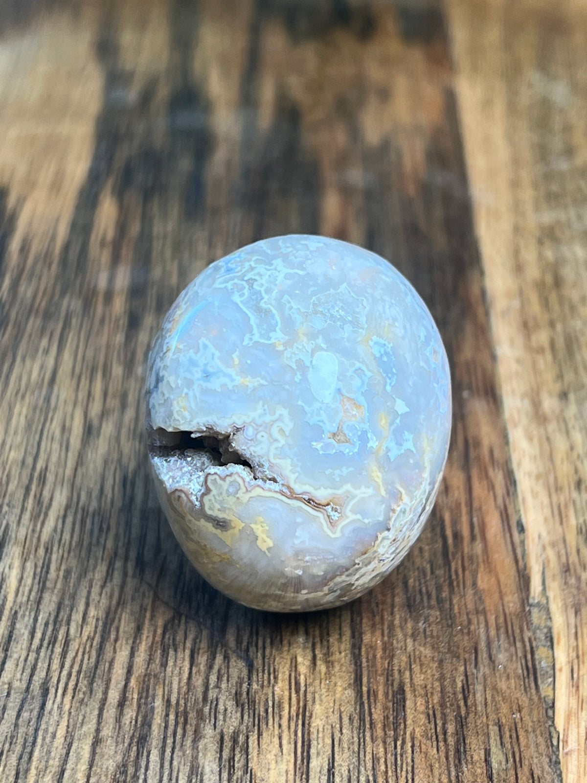 Sumatra Plume Agate Mini Plume: F