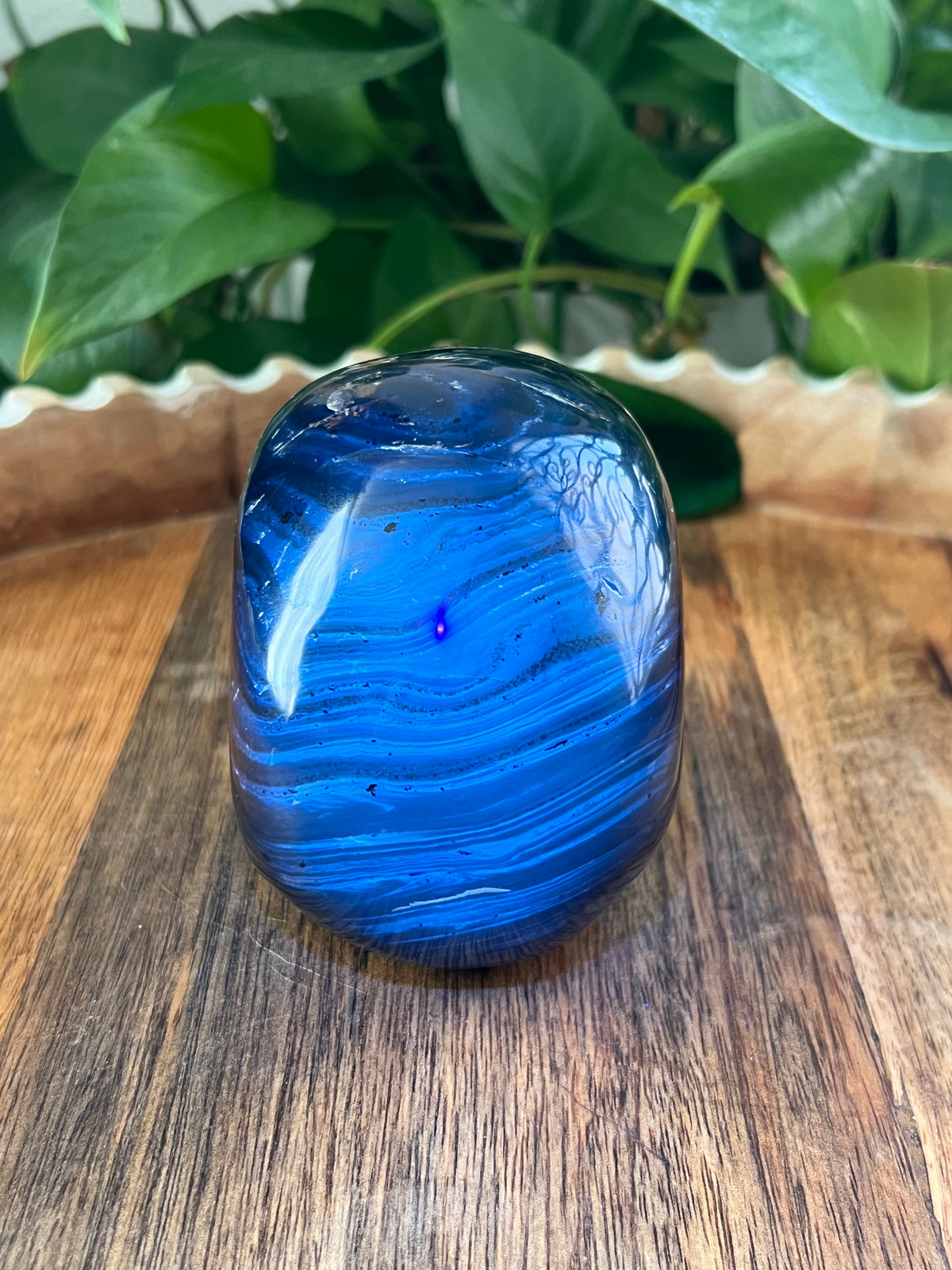 Blue Amber Skull: NB
