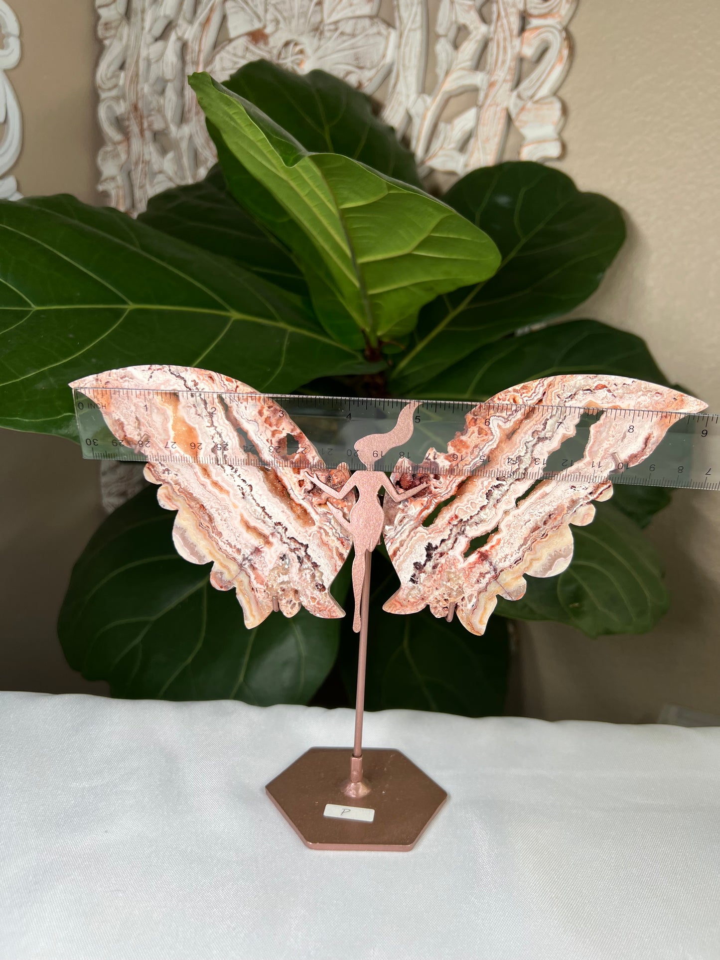 Crazy Lace Agate Wings