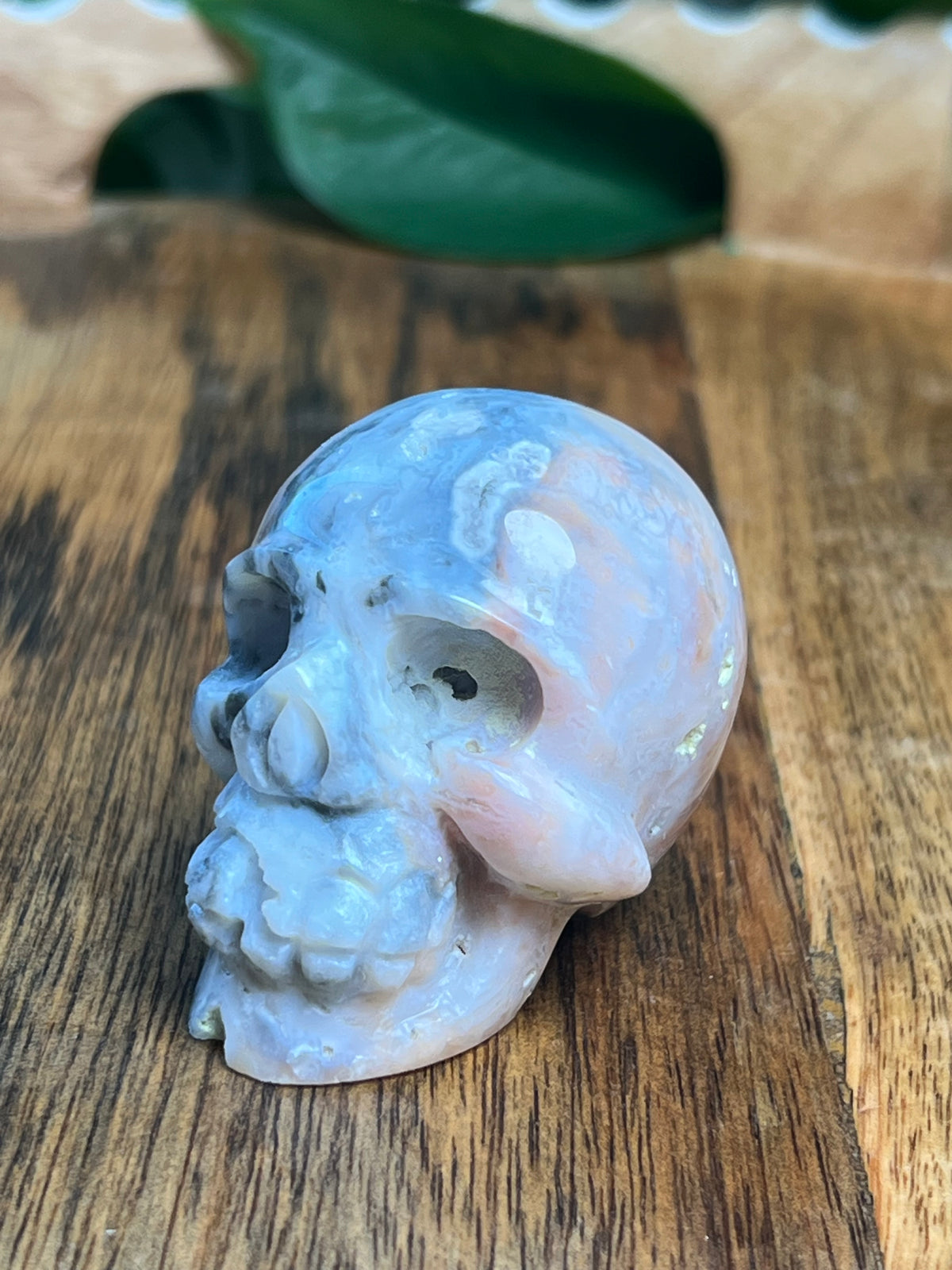 Rainbow Plume Agate Mini Skull: DB