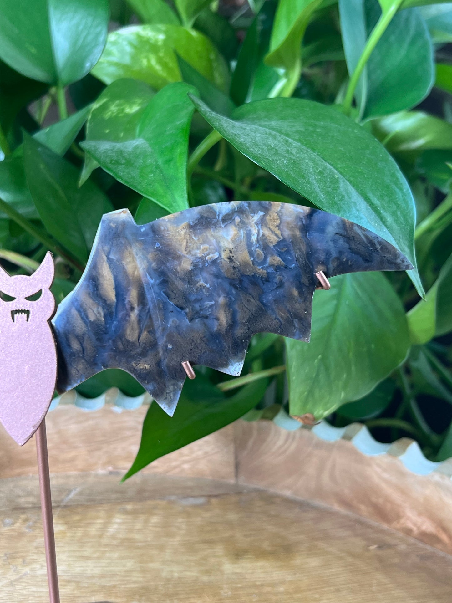 Dendritic Tiger Agate Bat Wings