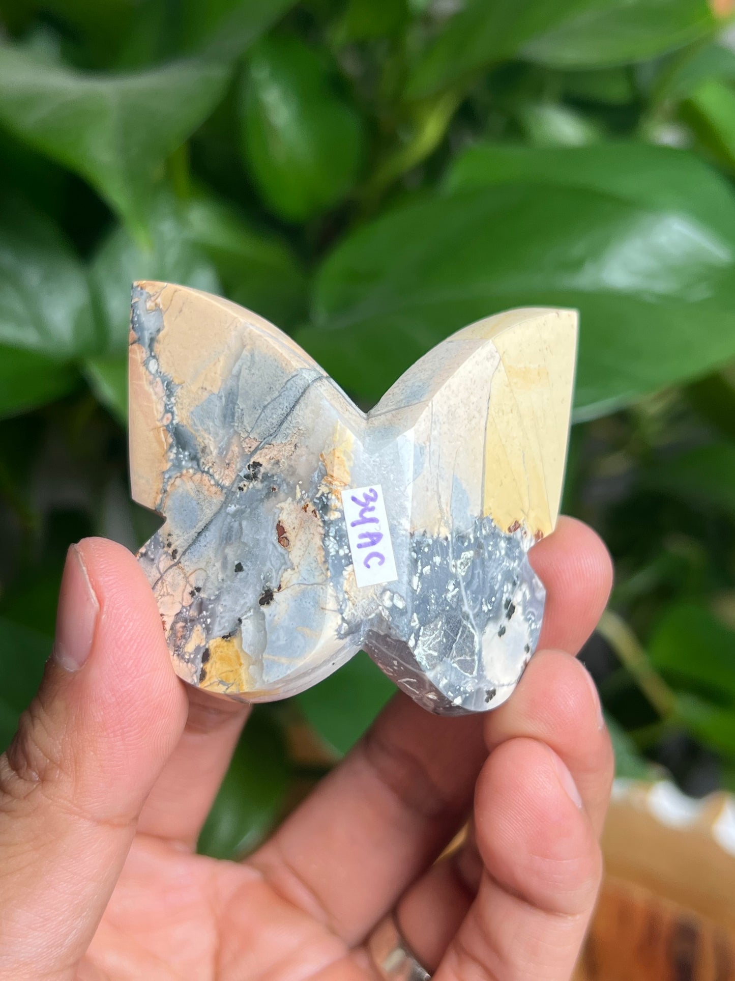 Maligano 3D Butterfly: AC
