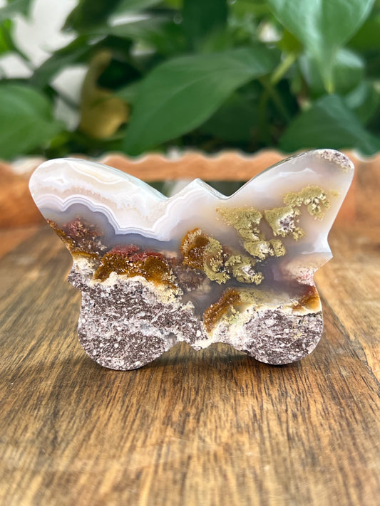 Scenic Moss Agate Butterflies