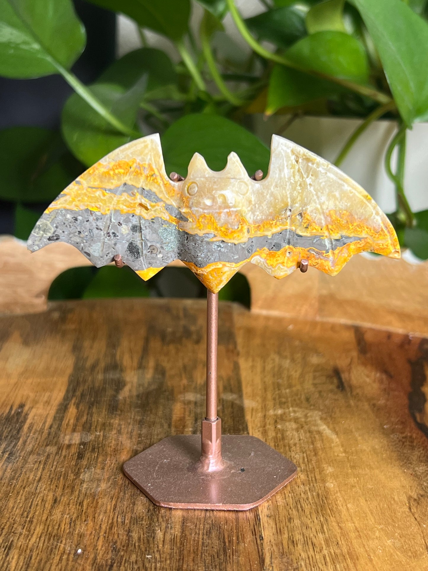 Bumblebee Jasper Bat