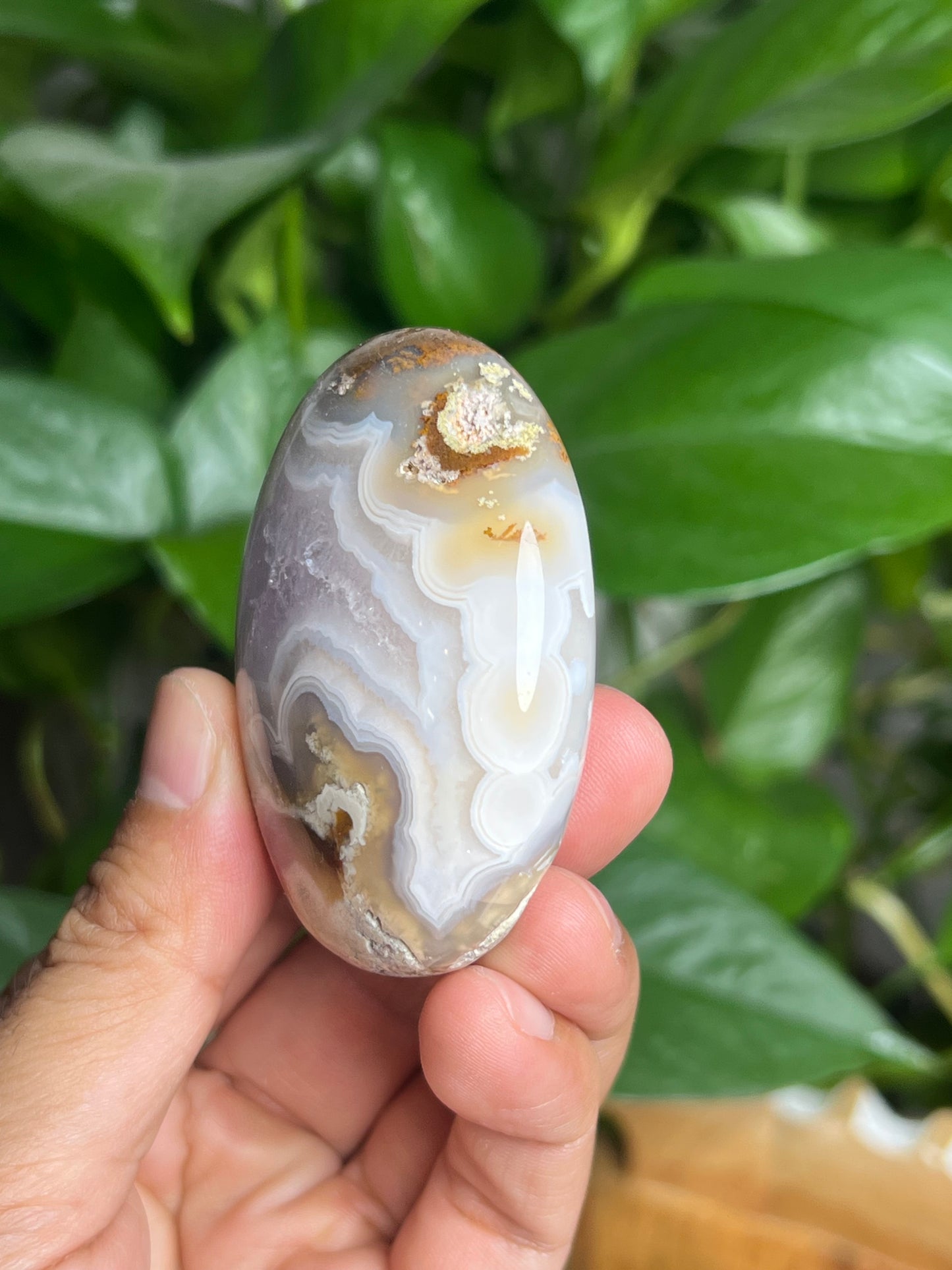 Scenic Moss Agate Palmstone: BC