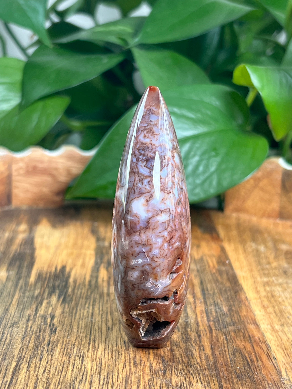 Sumatra Plume Agate Flame: BK