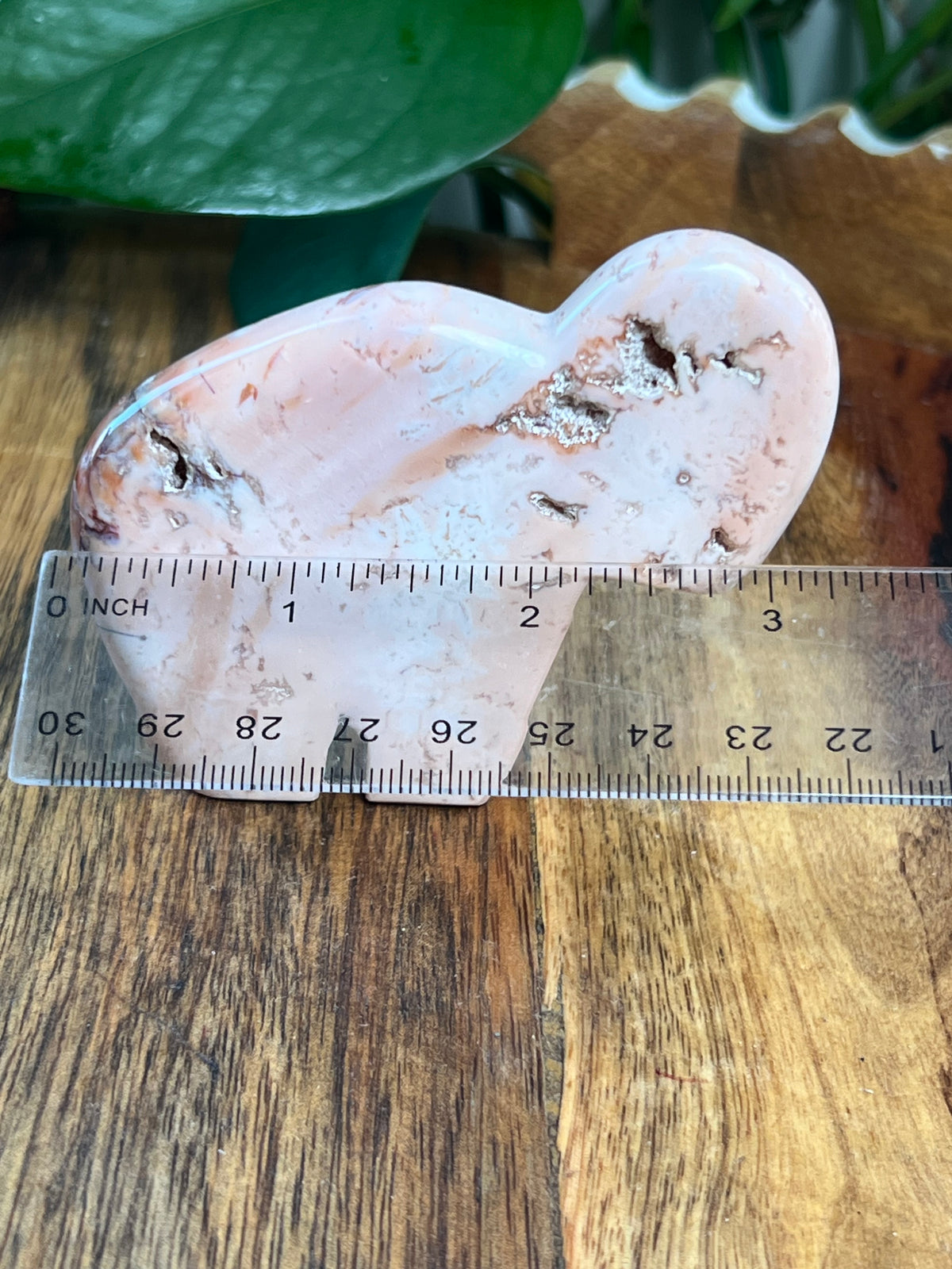 Pink Carnelian Buffalo: VD