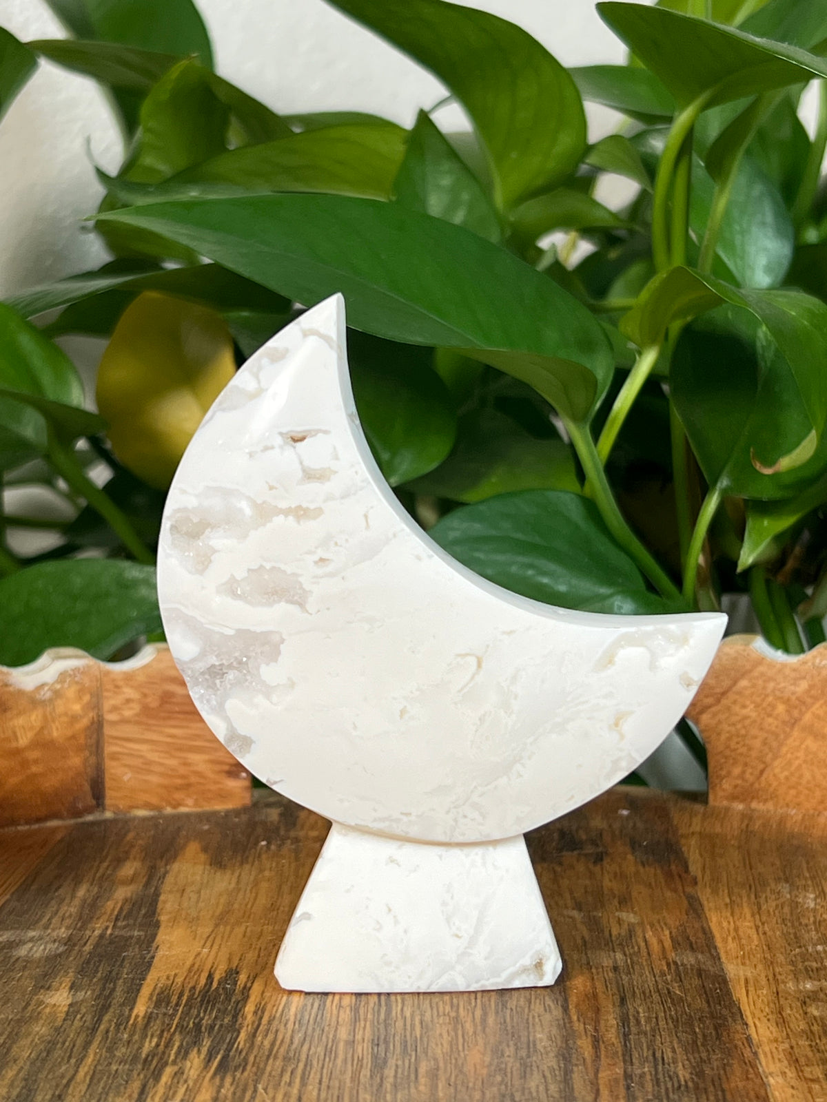 White Plume Agate Self Standing Moons