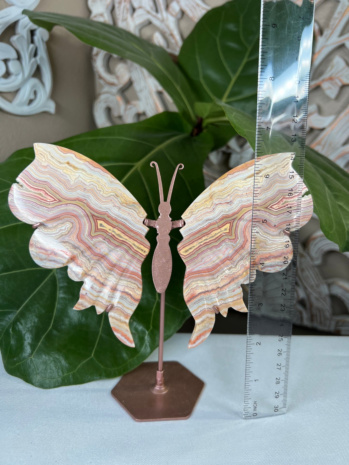 Crazy Lace Agate Wings