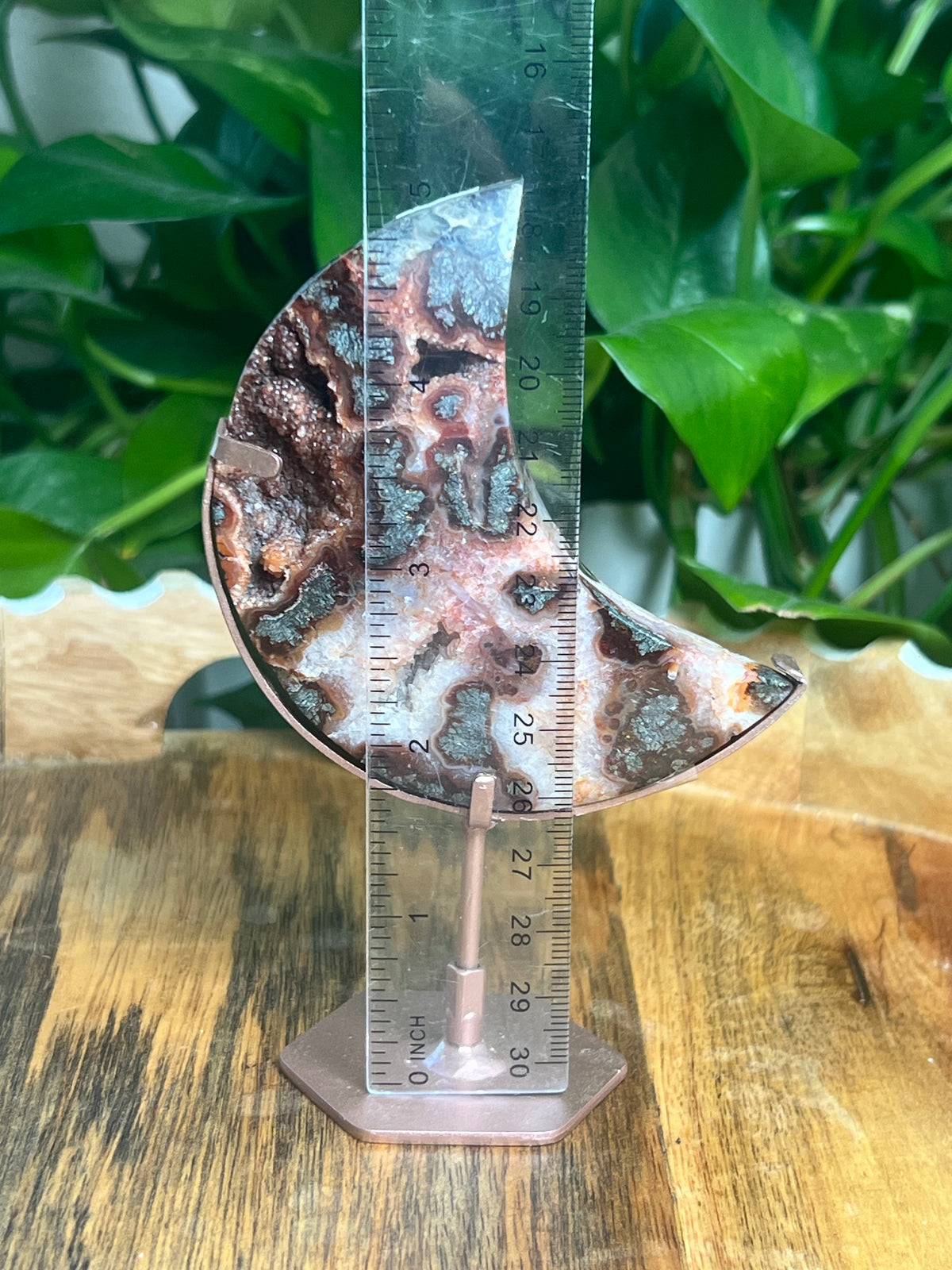 Marcasite Moon: MD